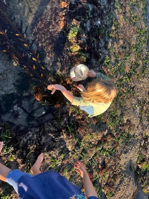 Thursday Brook Knoll 1/2 Schoolday Nature Adventure