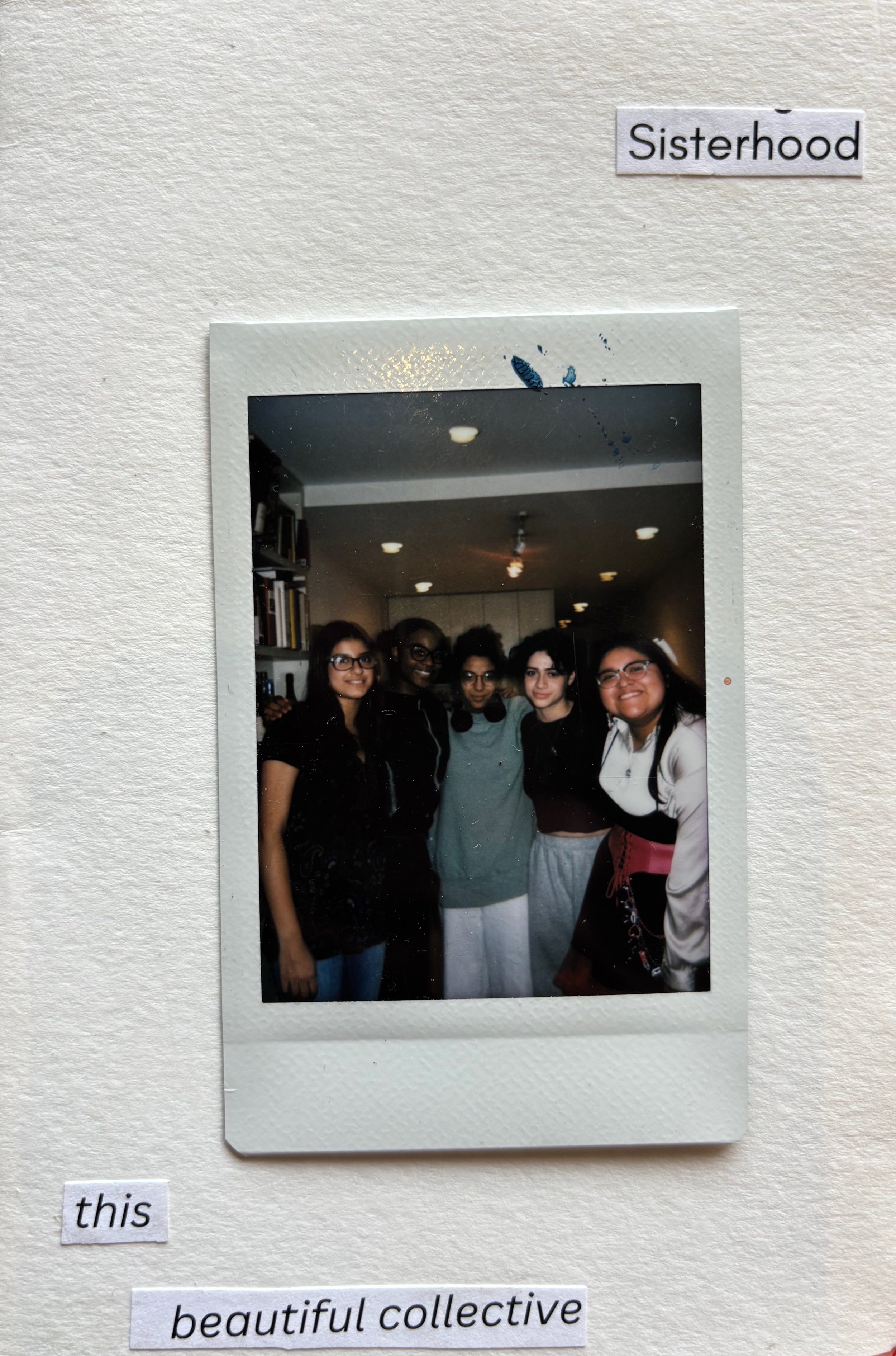 A group of five diverse women standing together indoors, smiling, in front of a bookshelf and ceiling lights, labeled as a 'beautiful collective' in a display titled 'Sisterhood'.