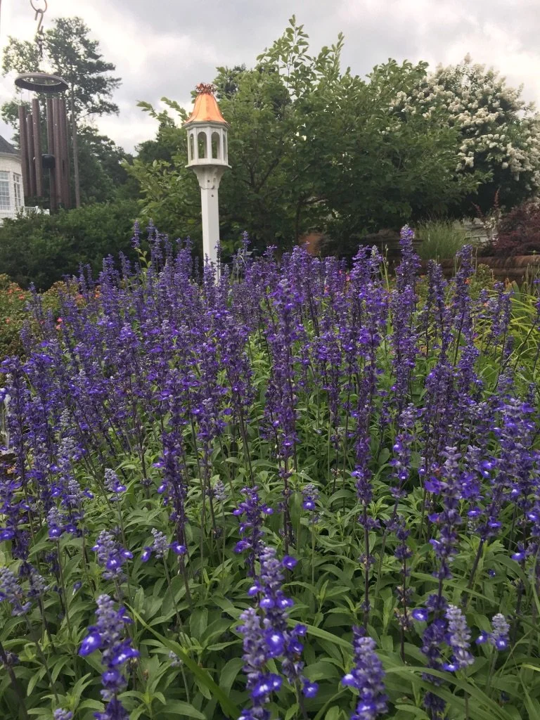A garden with tall purple flowers in the foreground, lush green trees in the background, a white garden lamp, and a cloudy sky.