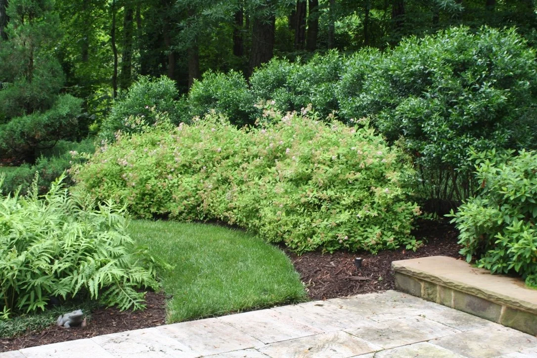 A landscaped garden area with a stone paved patio, lush green grass, and various shrubs and bushes, surrounded by trees.