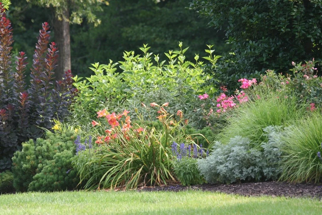 A lush garden with various green plants, pink and purple flowers, and tall leafy bushes. Grass in the foreground and trees in the background.