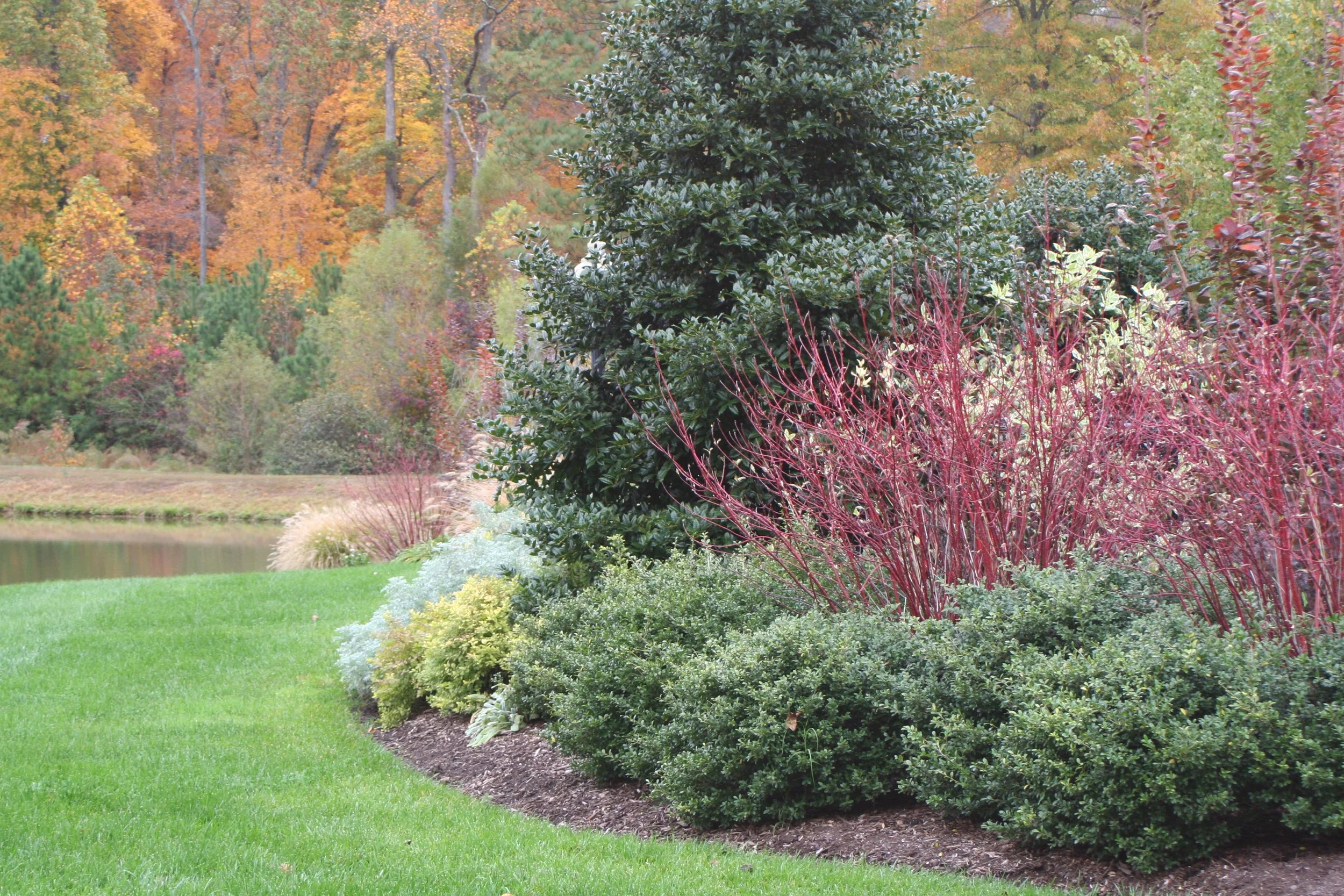 A landscaped garden area with various shrubs and small trees, with a grassy lawn in the foreground and a pond in the background, surrounded by colorful autumn trees.
