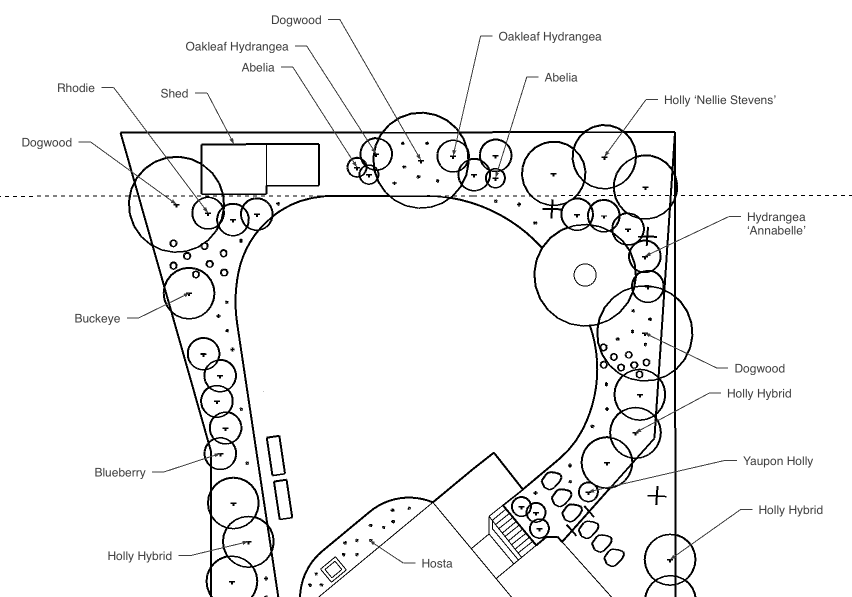 Landscape plan showing various trees such as Dogwood, Oakleaf Hydrangea, Abelia, Rhodie, Buckeye, Blueberry, Holly Hybrid, Holly 'Nellie Stevens', Hydrangea 'Annabelle', and Yaupon Holly, with designated areas and plant groupings.
