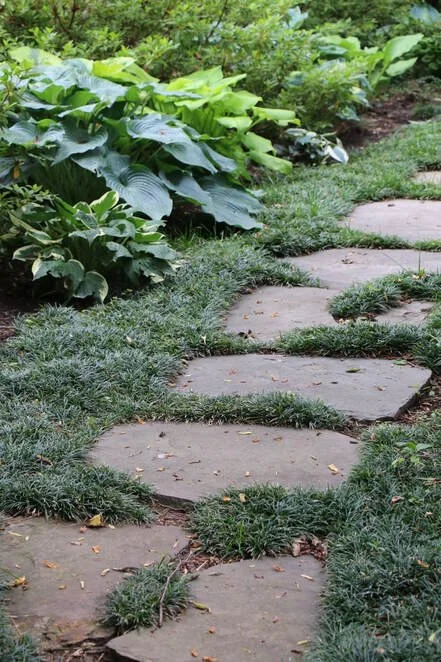 Stone pathway curving through a lush garden with green plants and large leafy shrubs.