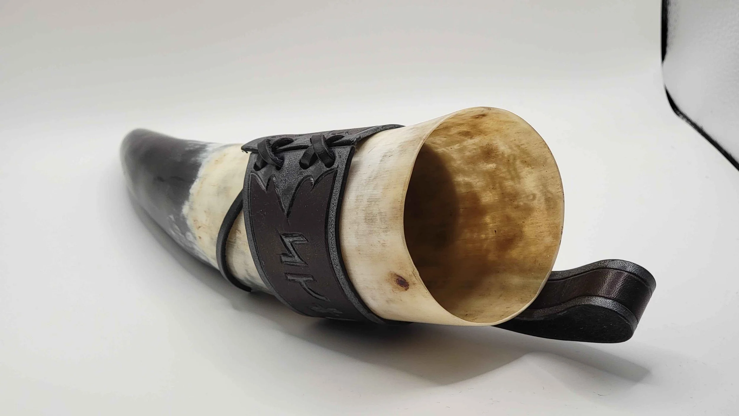 bs horn 3.jpg