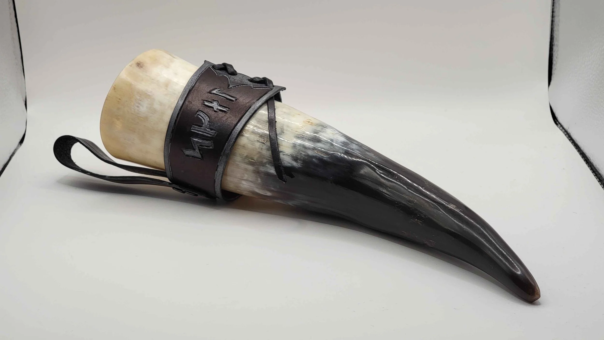 bs horn 1.jpg