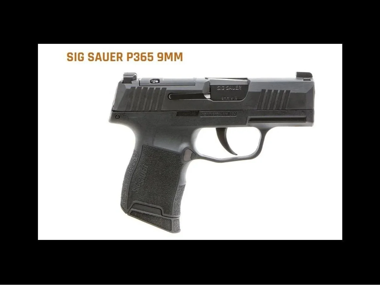 Sig+P365+NIT+10+9mm.jpg