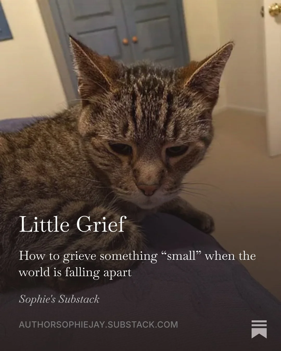 Little Grief