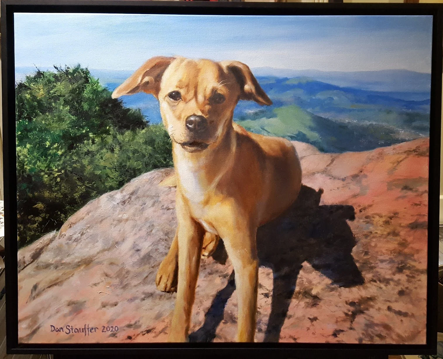 Chase, 2020, 24x30 Oil on Canvas. SOLD-COMMISSION