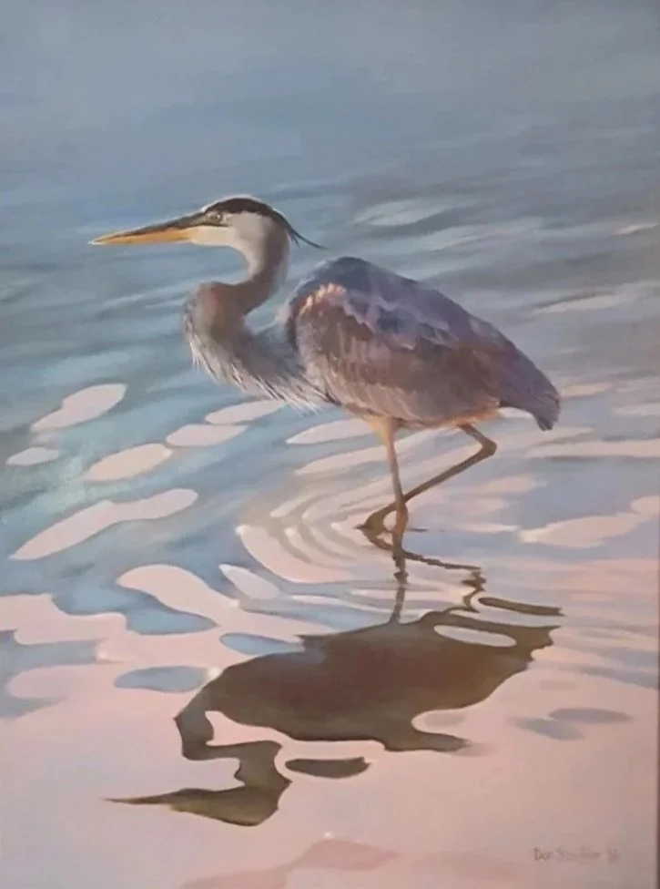 A heron standing on one leg in shallow water with a reflection visible beneath it.