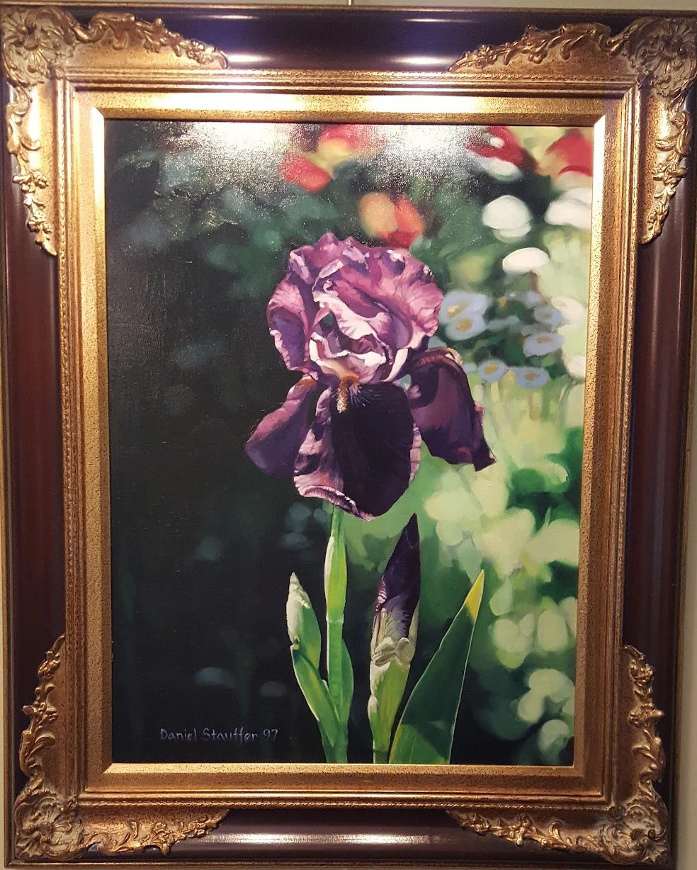 Purple Flag Iris, 1997, 24x30 Oil on Canvas. SOLD
