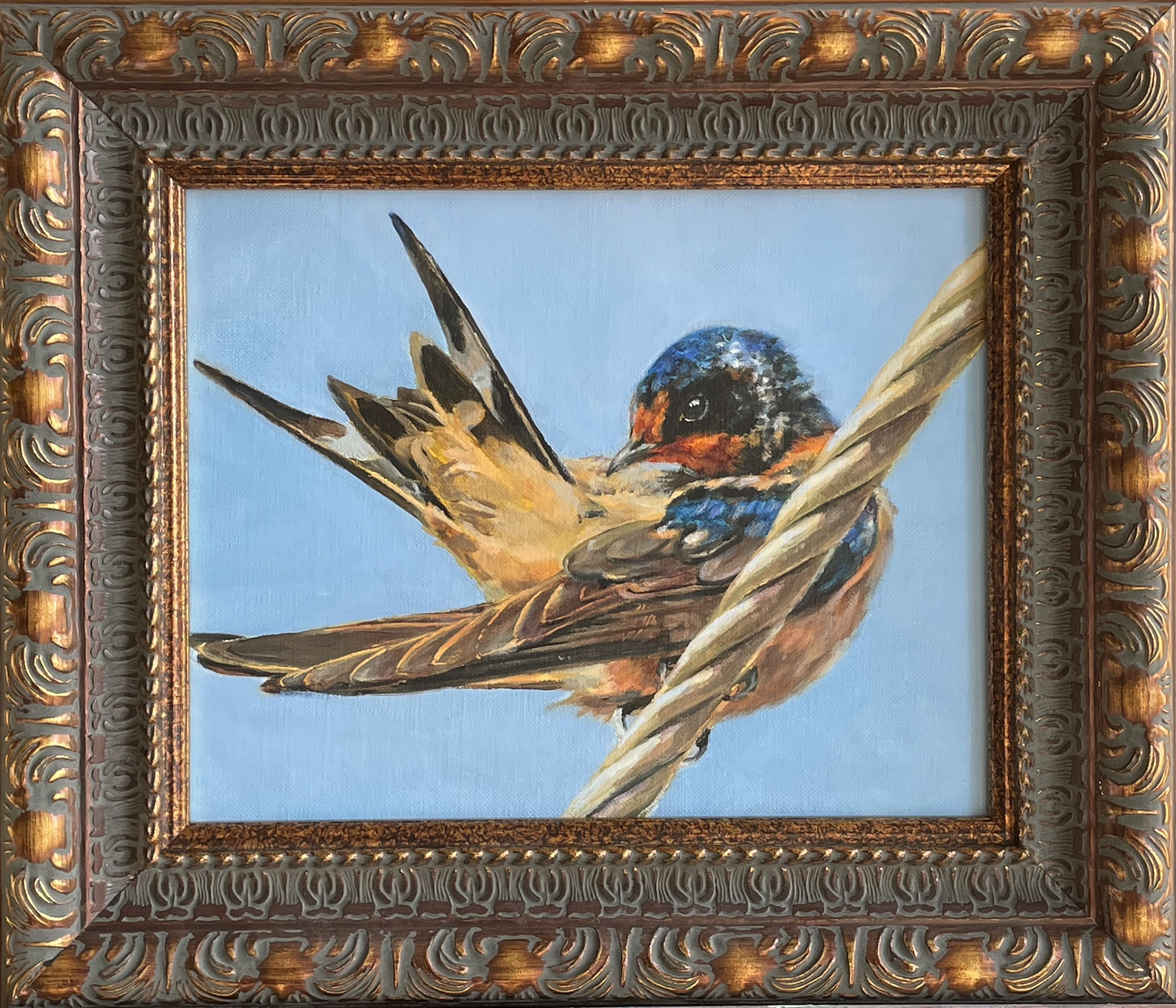 Barn Swallow, 2025, 8x11 Oil on Linen. SOLD