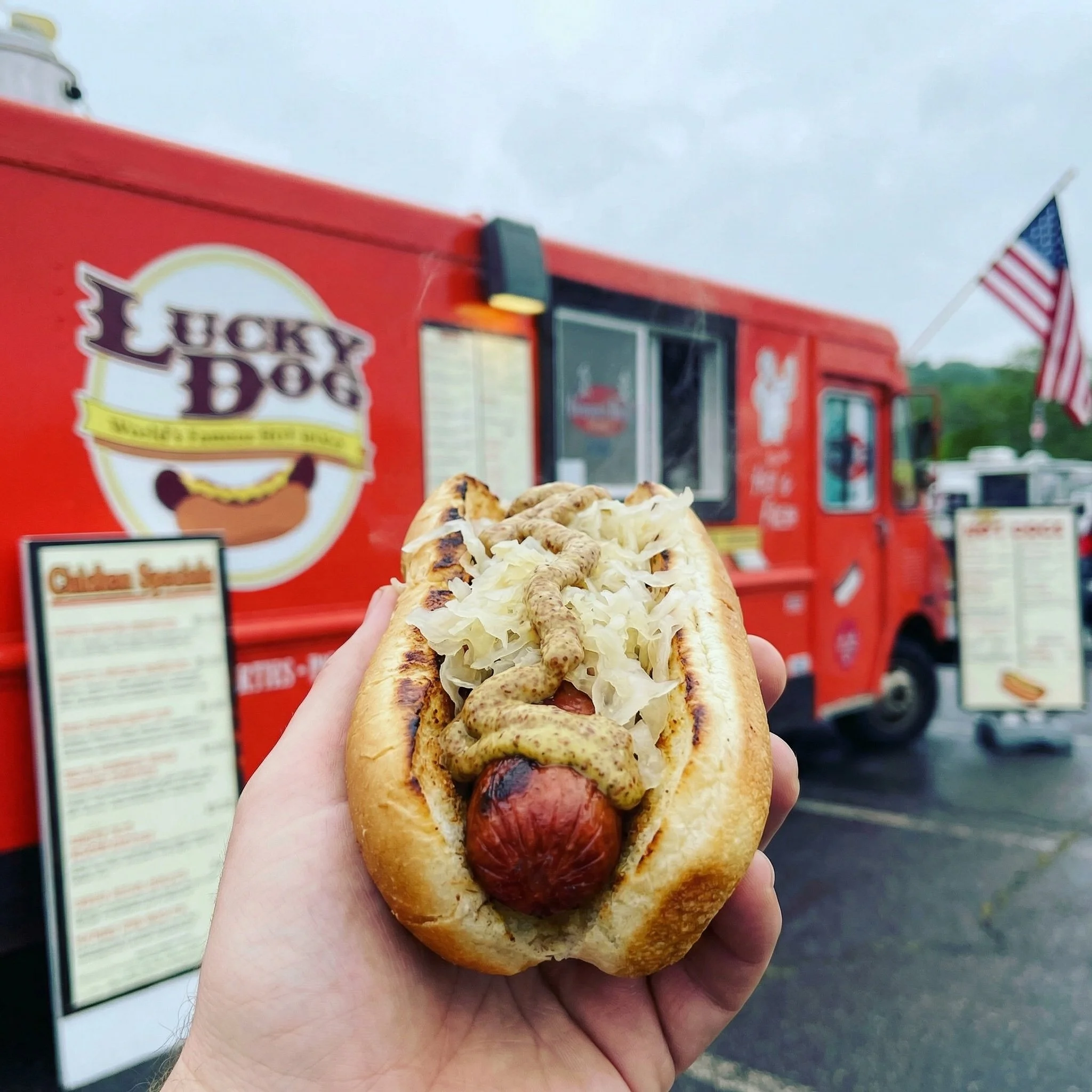 Brooklyn style hot dog with kraut and mustard