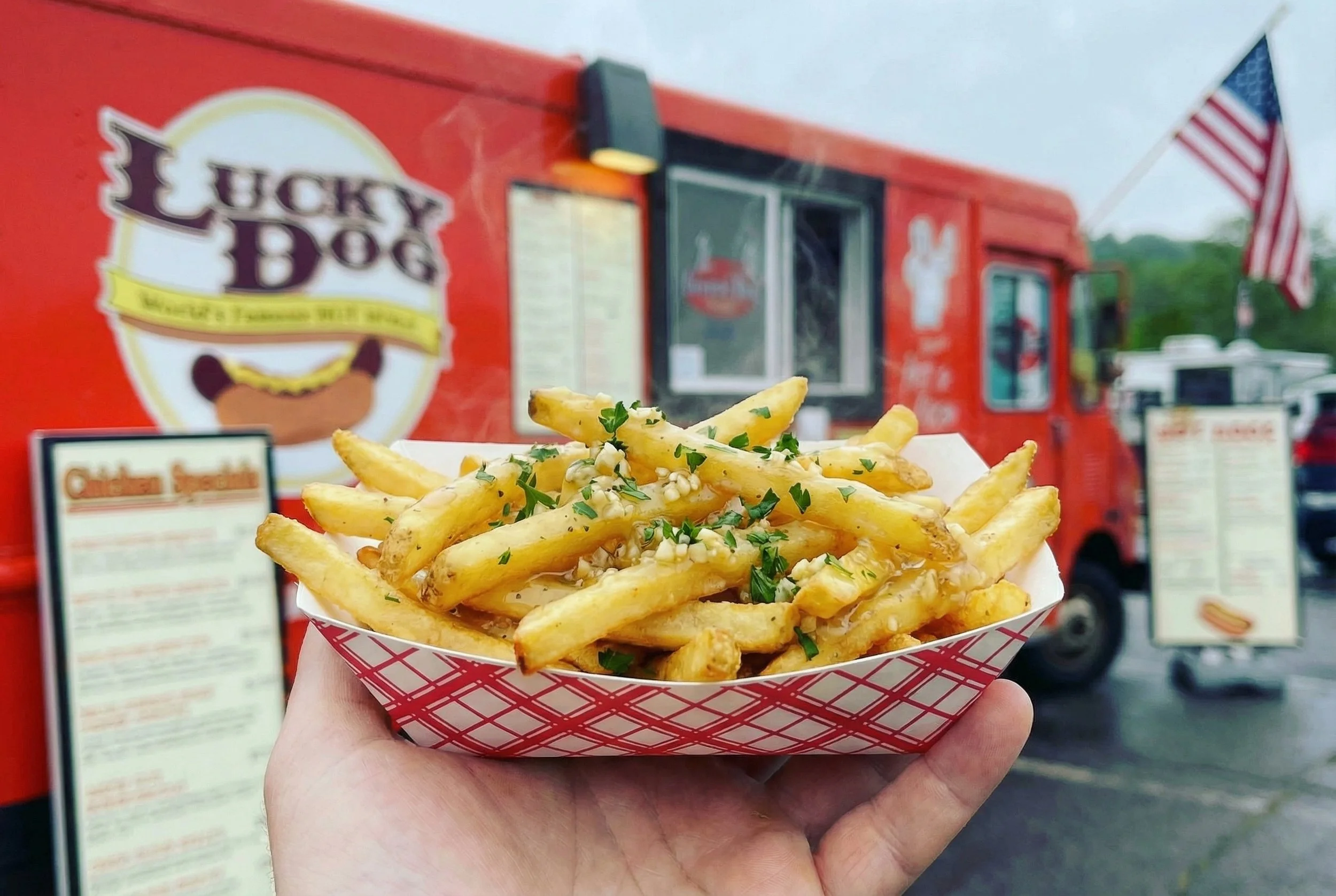 Garlic Parmesan French Fries