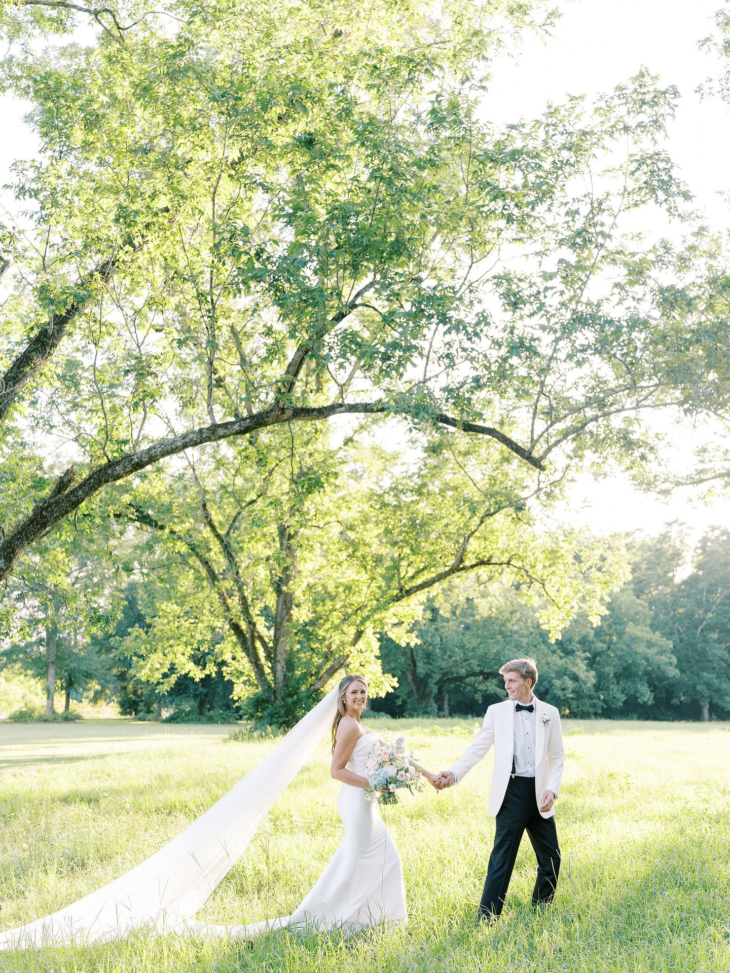 A bride and groom holding hands in a sunny, grassy field with a large tree in the background.