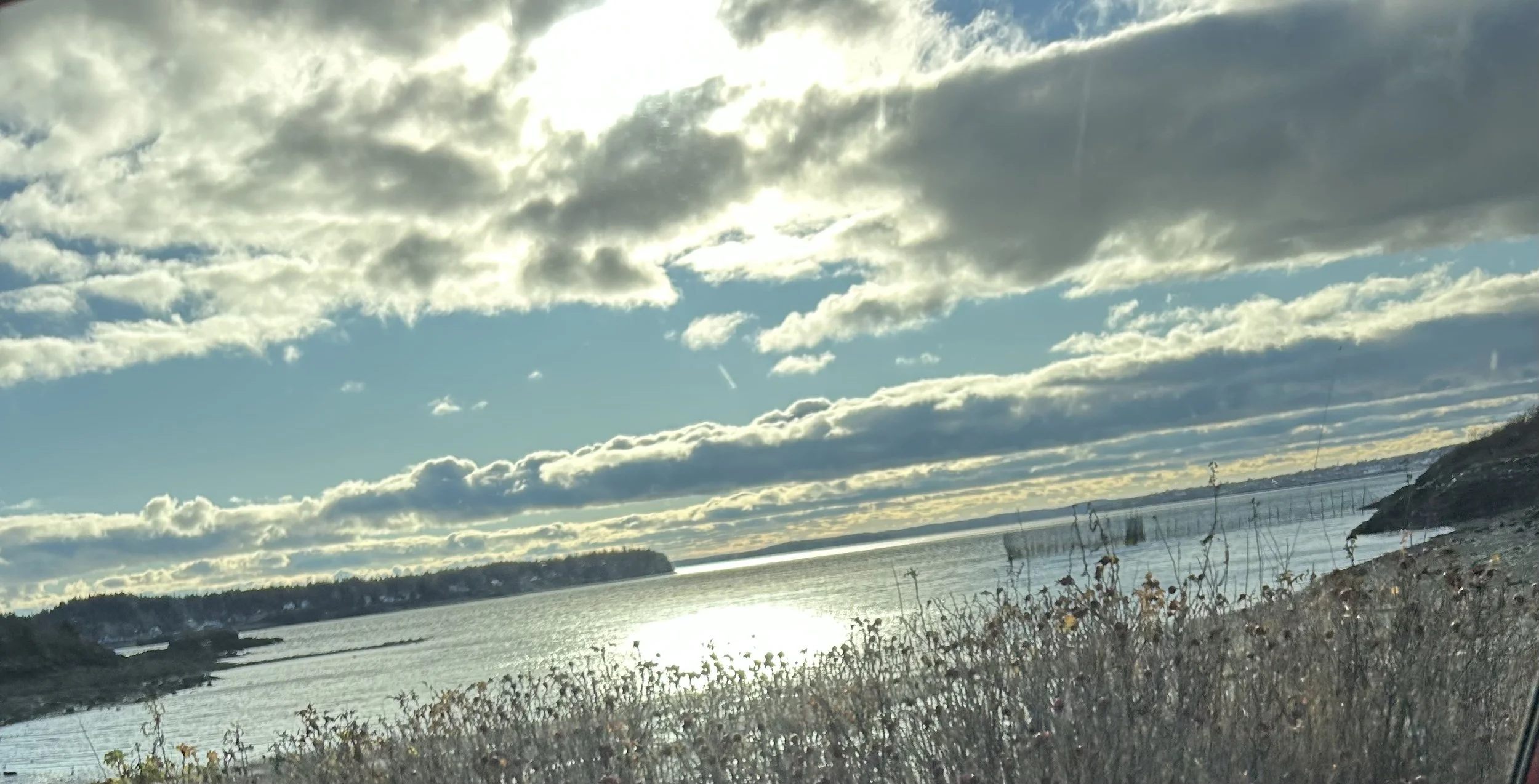 View of a body of water with a distant shoreline on the horizon, under a sky filled with scattered clouds, and dry vegetation in the foreground.