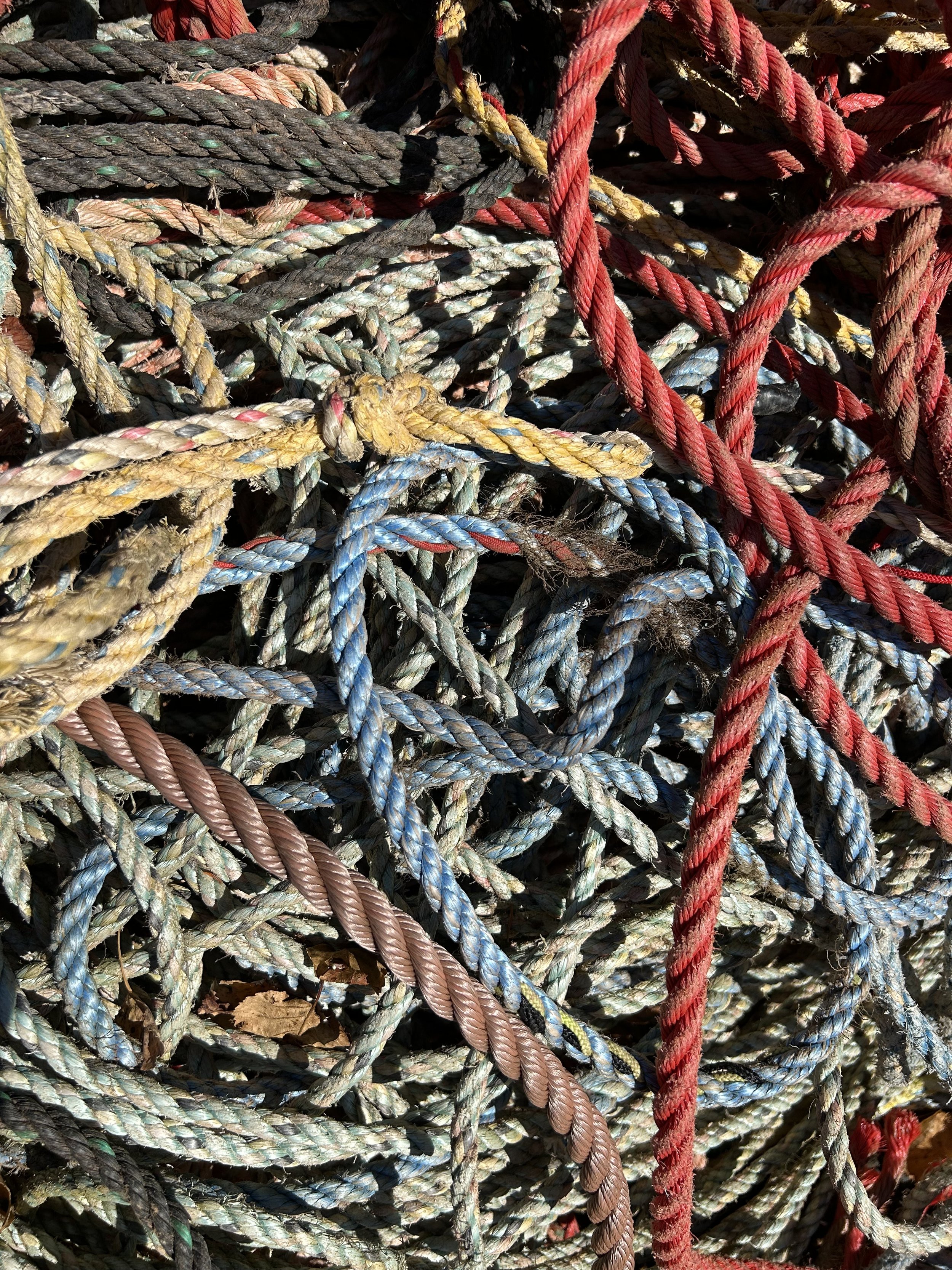 A tangled pile of multicolored ropes, including red, blue, yellow, black, and beige, intertwined in a chaotic manner.