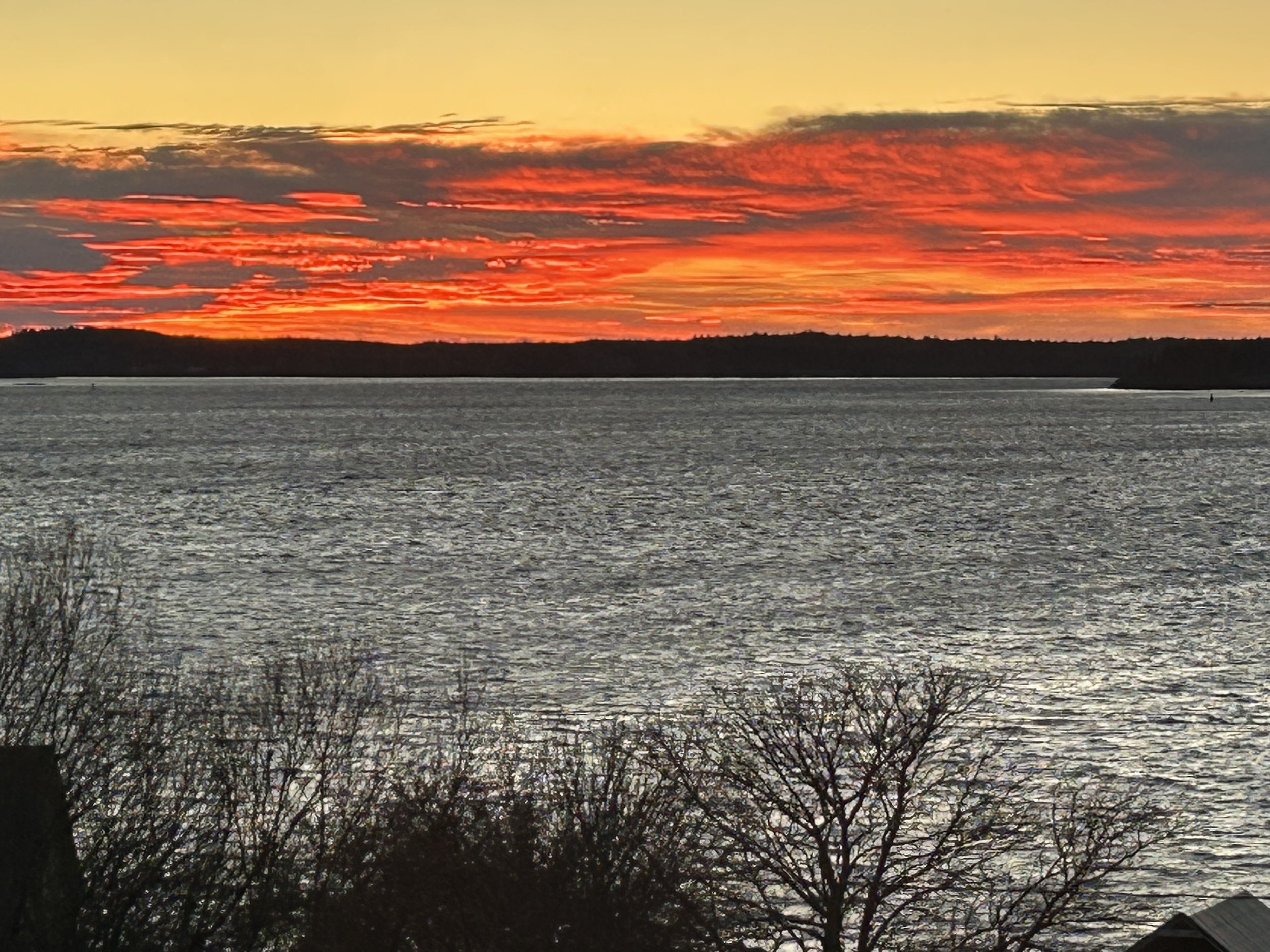 Sunset over a body of water with orange and red clouds in the sky, with trees and bushes in the foreground.