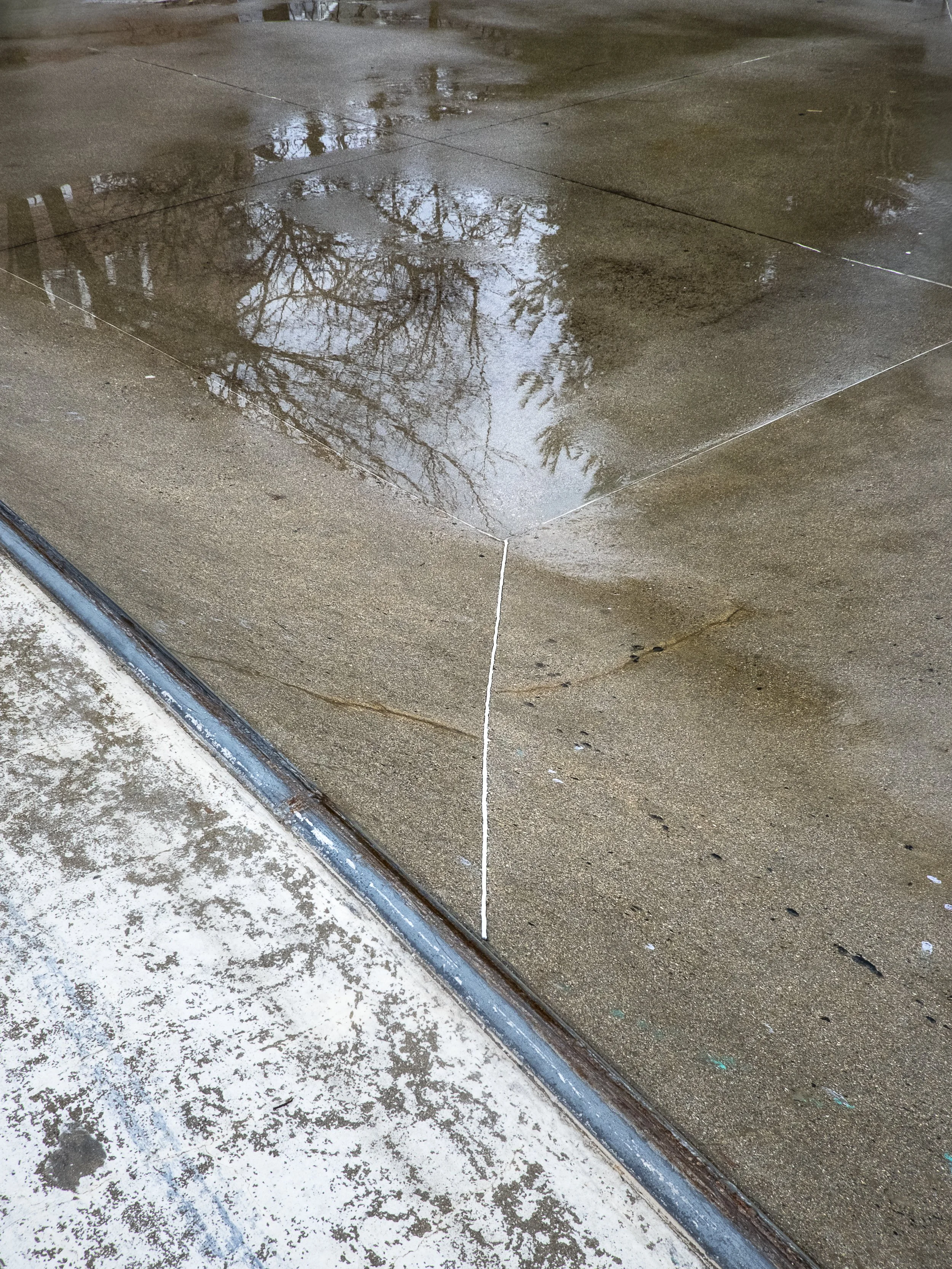 DSCF1658-4.jpg