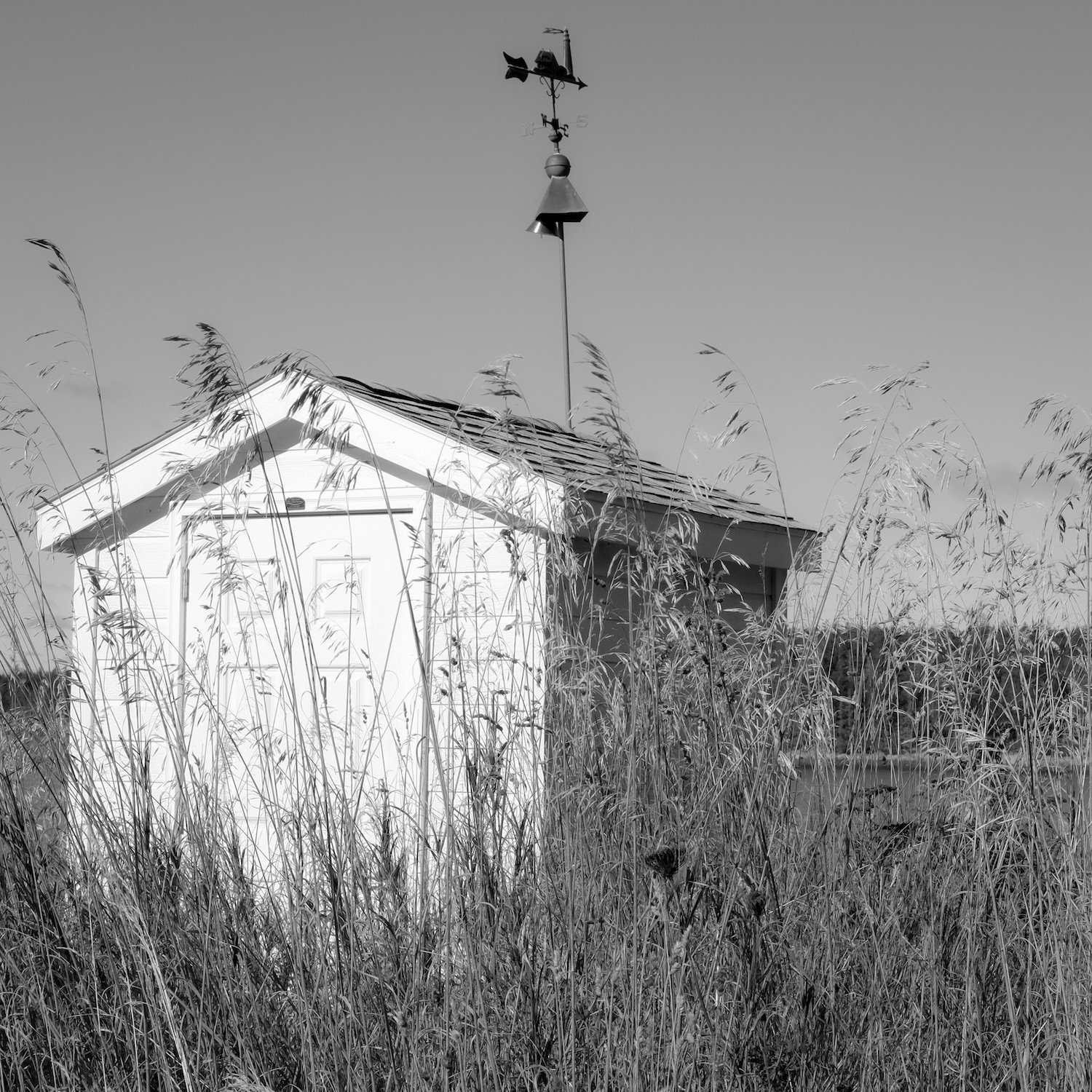 2022-09-21 09.54.21.jpg