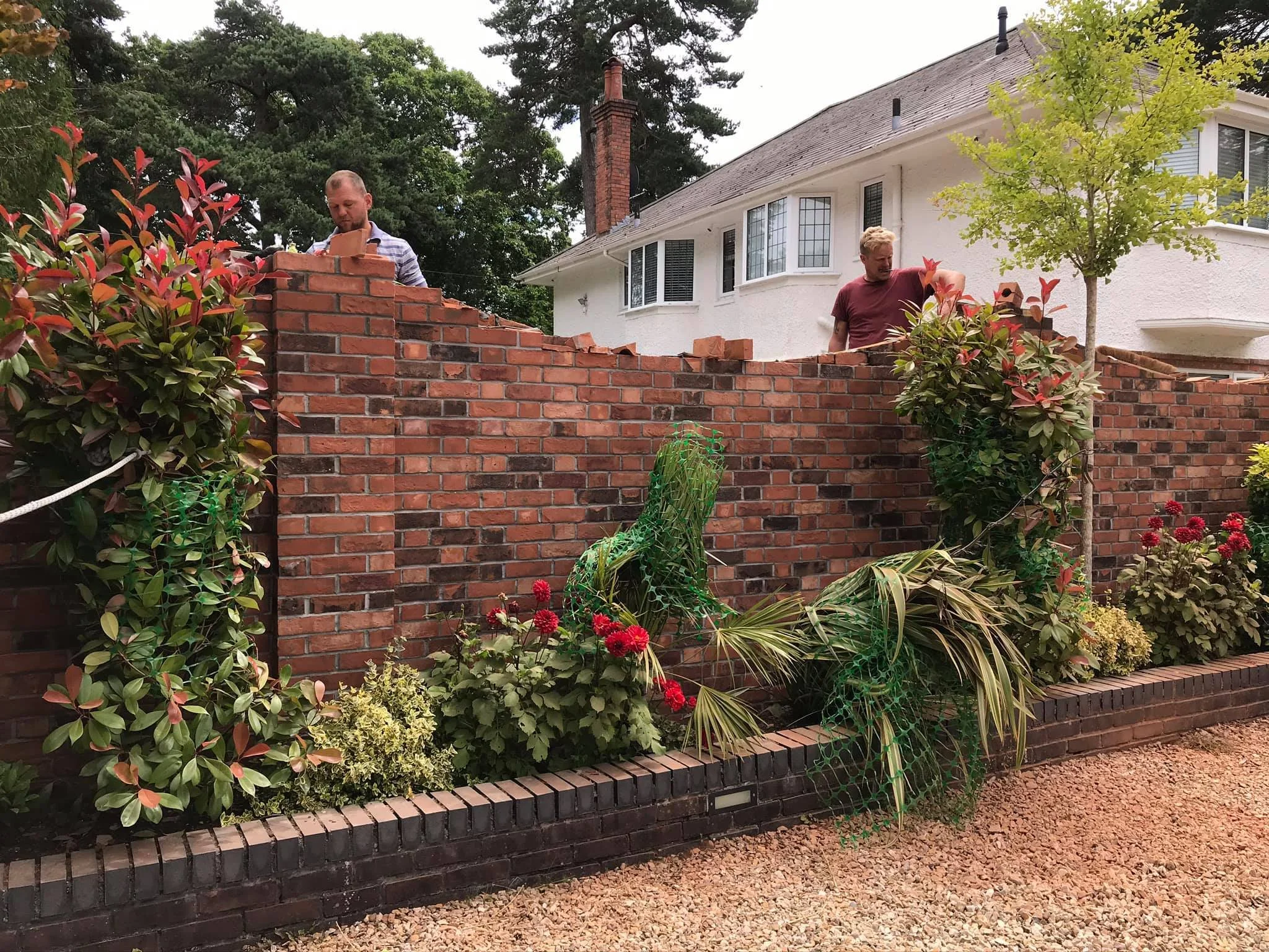 Two men working on building a brick wall in a garden yard with a white house in the background; there are trees and plants, including bushes with red flowers, a young tree, and green netted plants in front of the wall.
