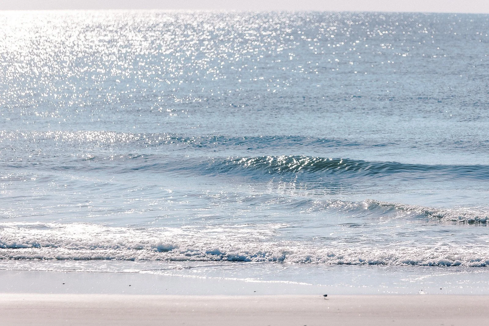 Amelia Island Proposal Photographer-0009.jpg