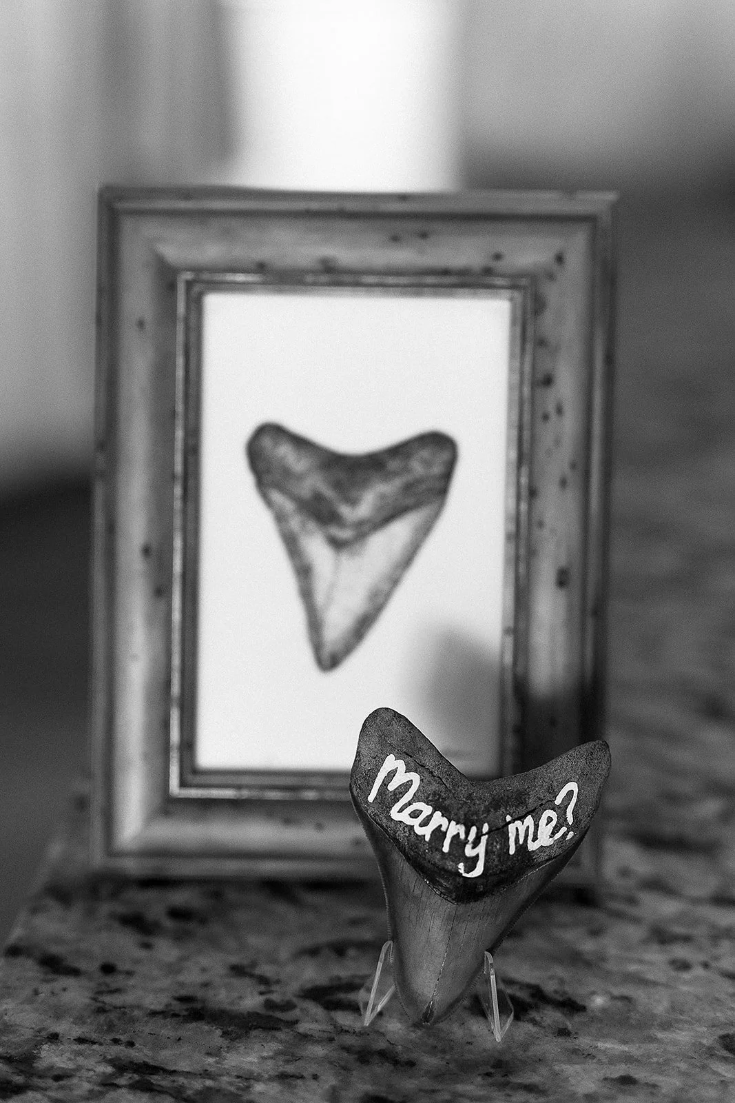 Amelia Island Proposal Photographer-0619.jpg