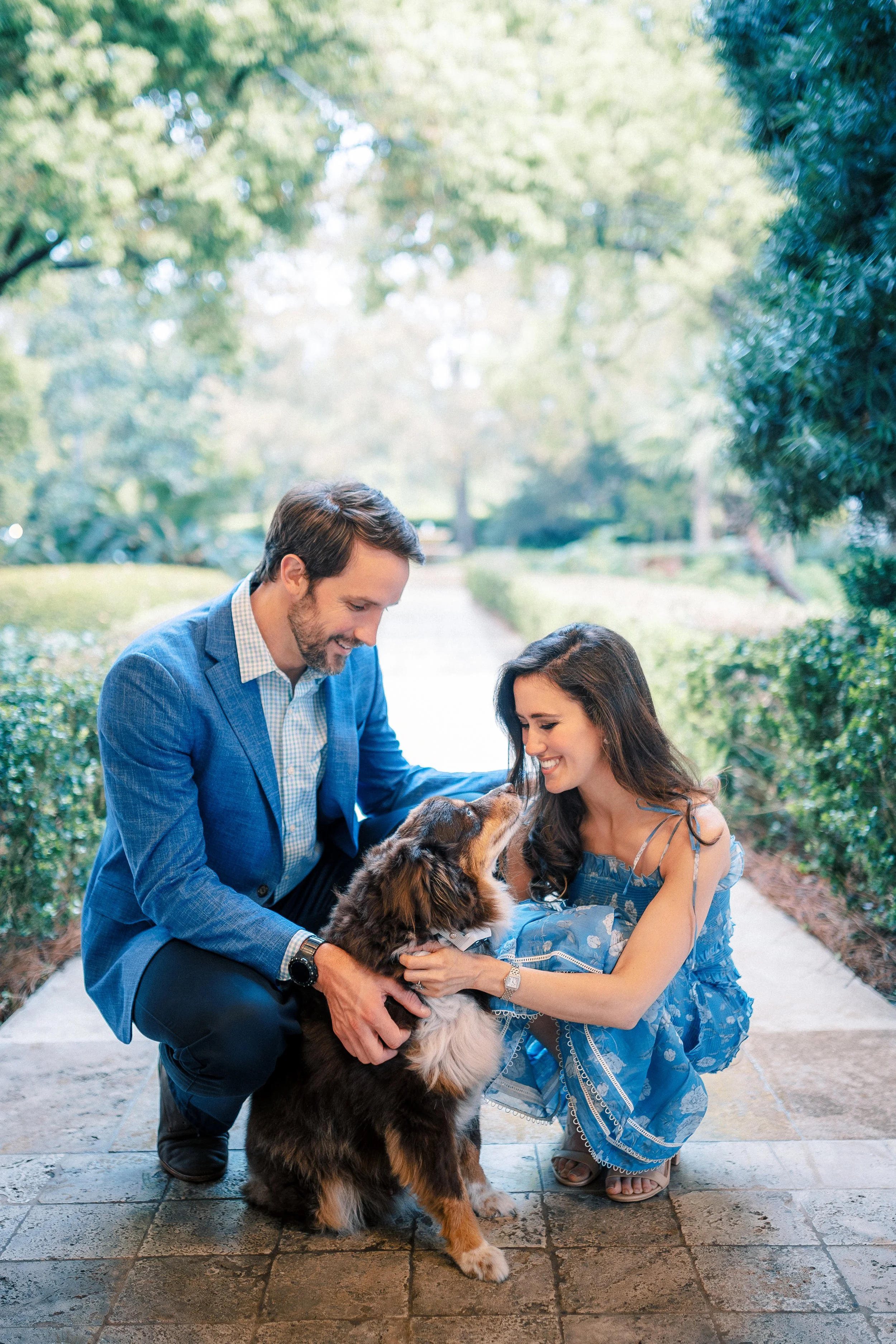 A man in a blue suit, a woman in a blue dress, and a large Australian Shepherd dog are outdoors on a paved path lined with greenery, with trees in the background. The man is kneeling, and the woman is crouching, both smiling and looking at the dog, w