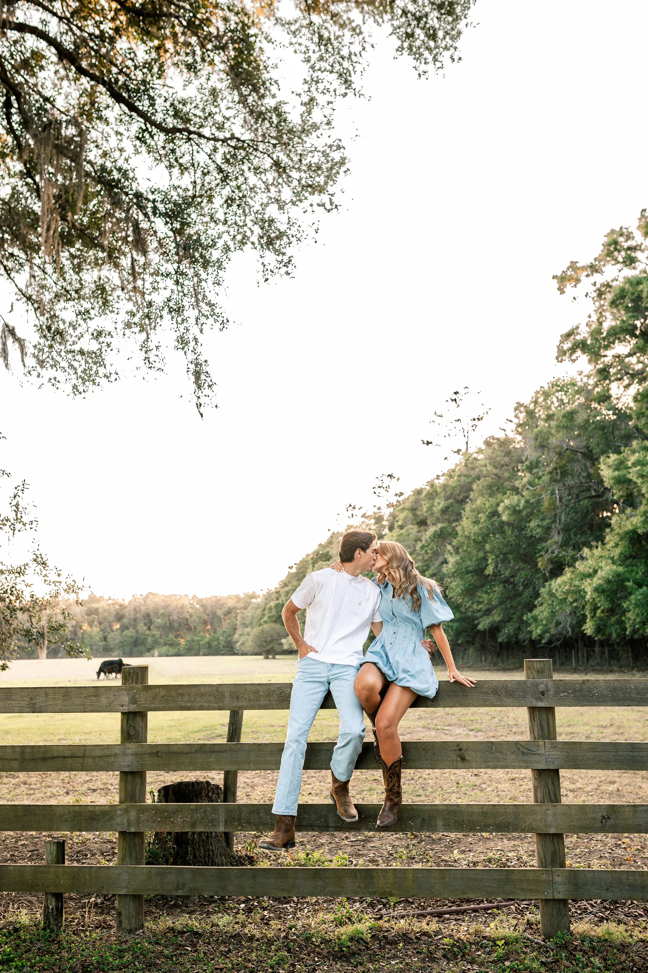 A couple standing on a wooden fence near a pond, kissing, with trees and grazing cows in the background.