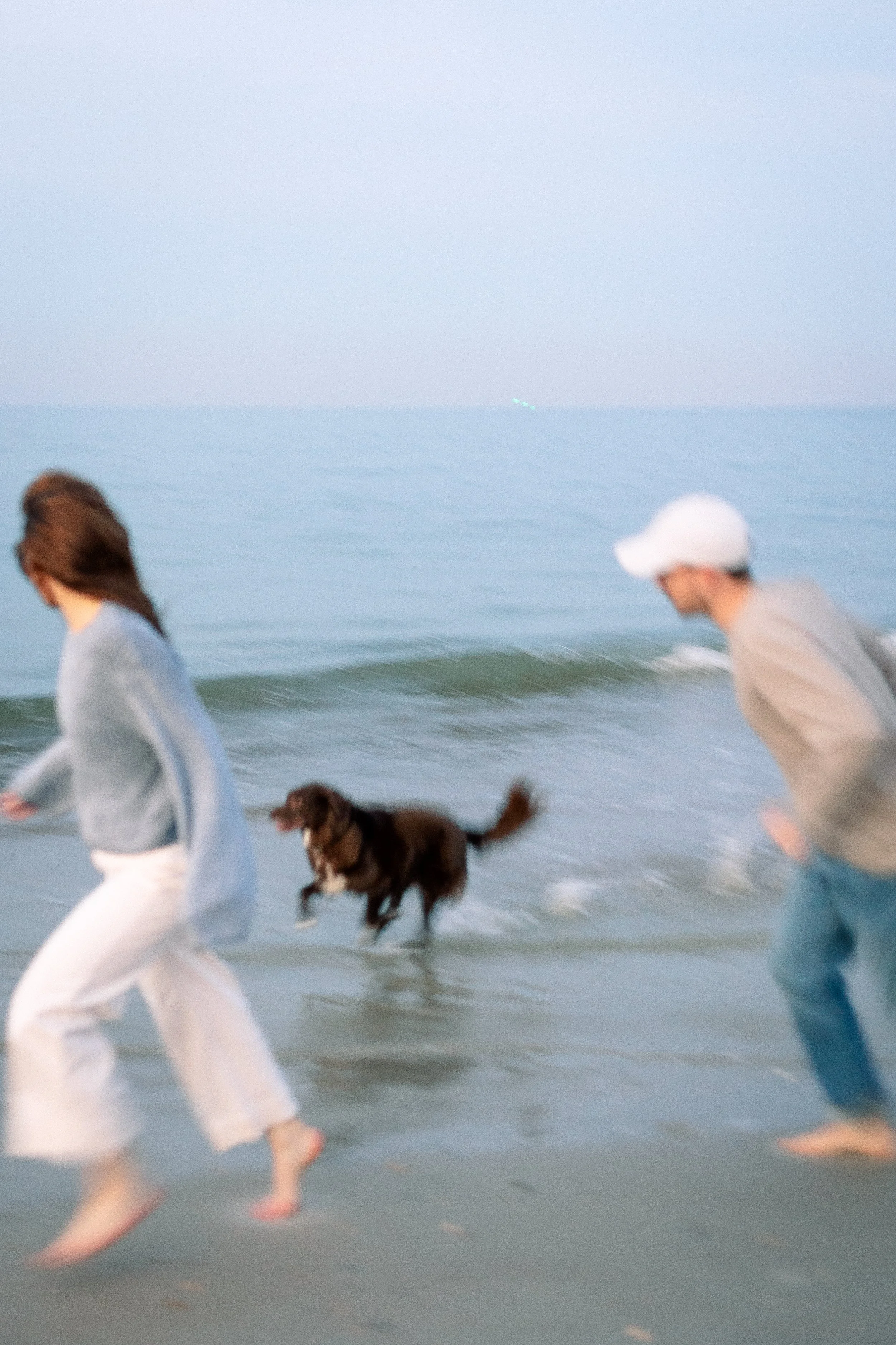 People walking along the shoreline with a dog, beach, ocean, and distant lights visible in the background.