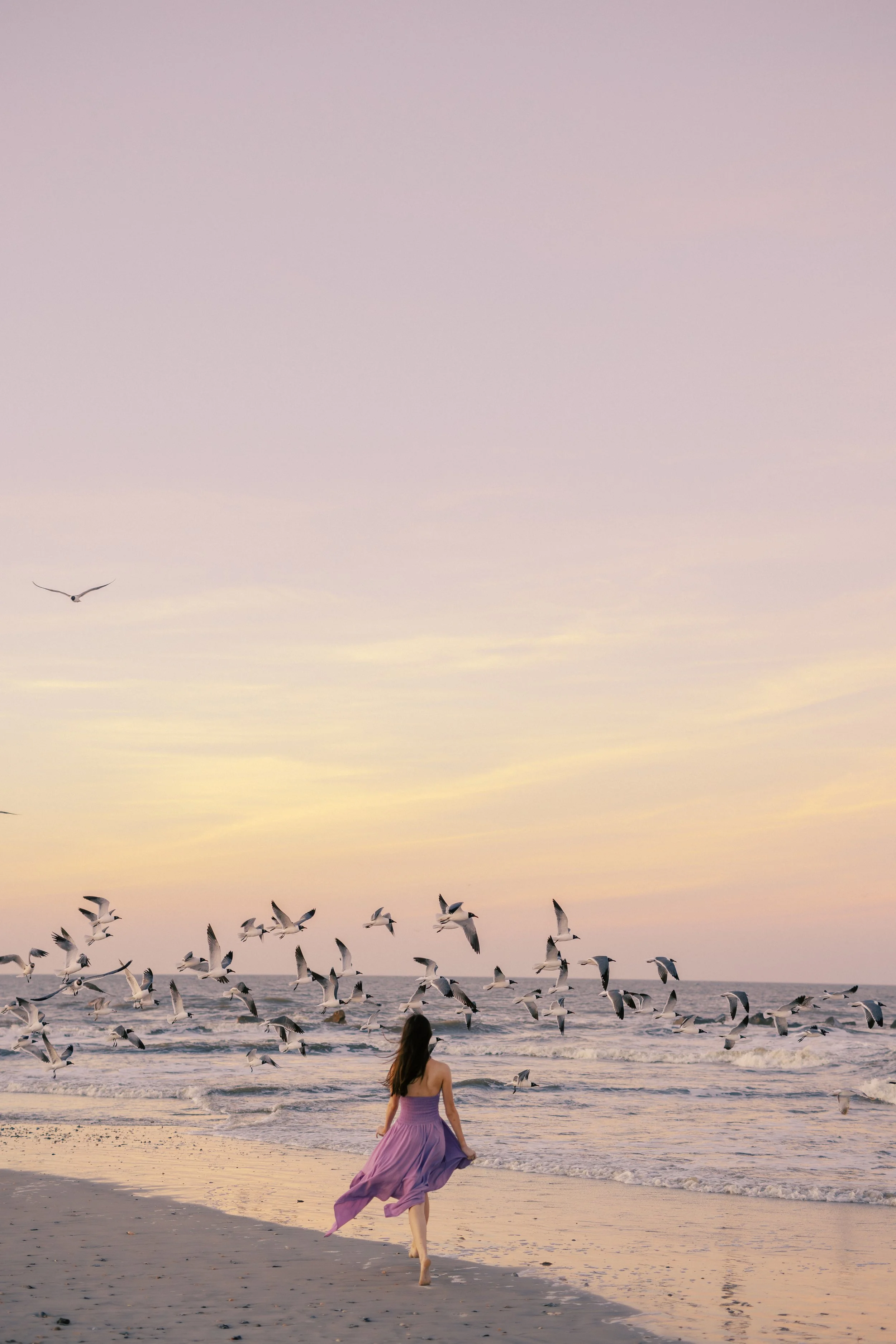 A woman in a purple dress running on the beach with seagulls flying around during sunset, with the ocean and sky in the background.