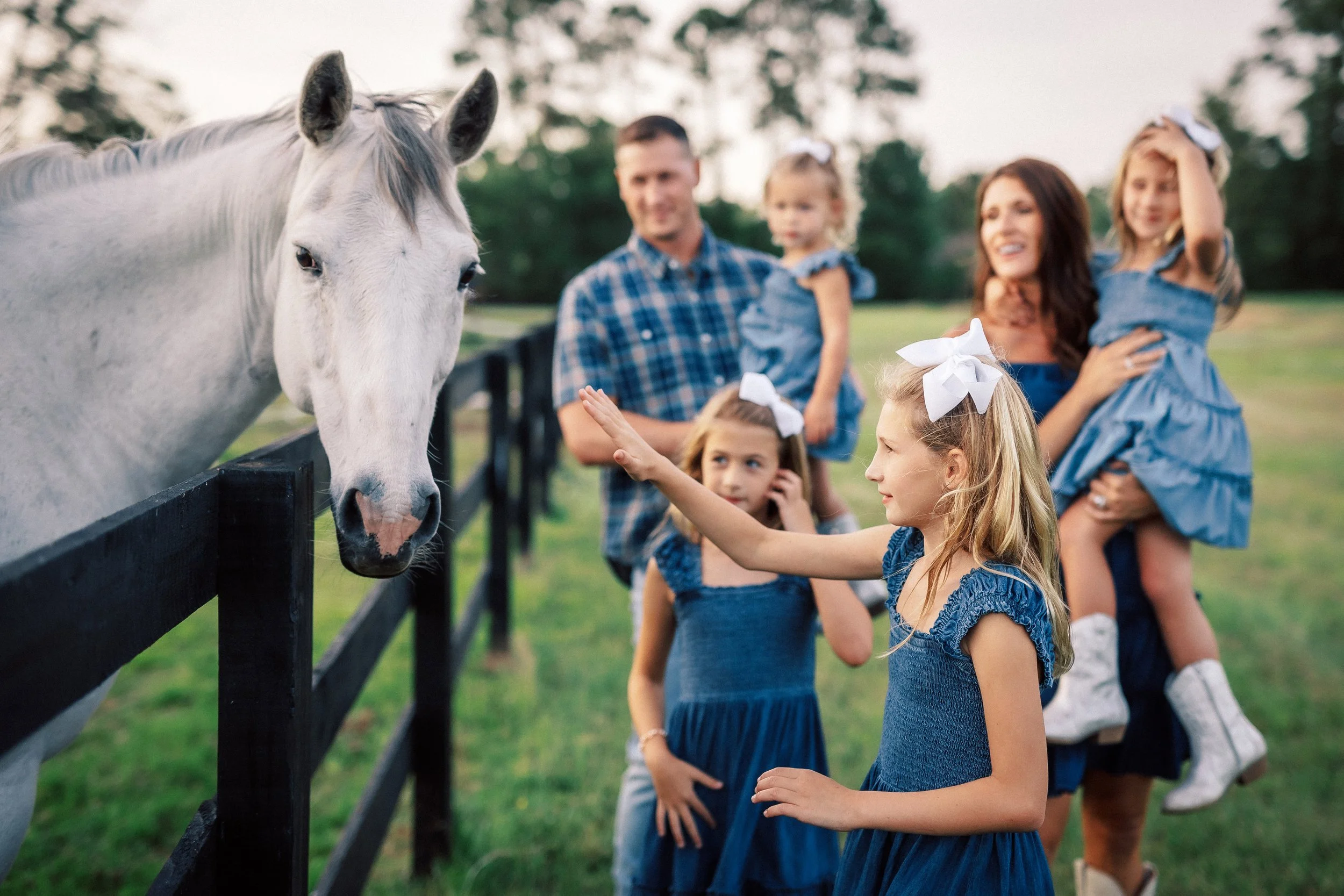 A group of children and adults gathered by a black fence, petting a white horse in a park or farm setting during late afternoon.