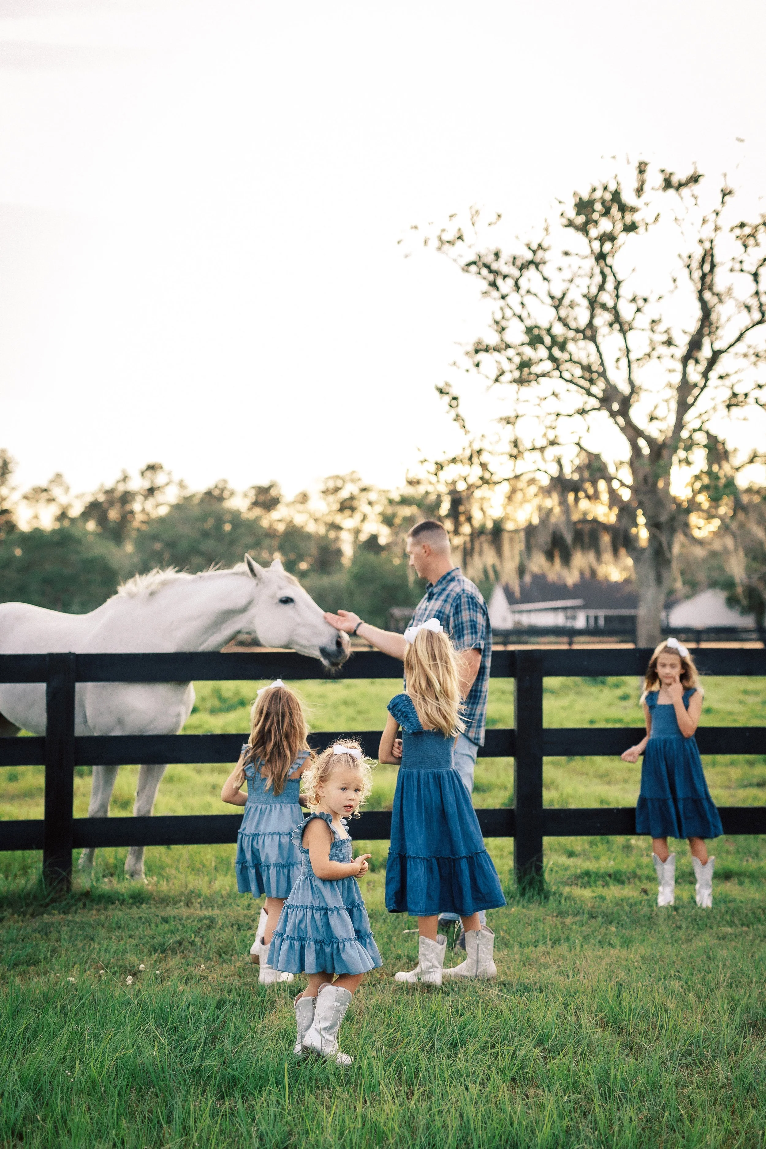 Children in blue dresses and white cowboy boots standing near a black fence, with a white horse and a man feeding it, on a farm during sunset.