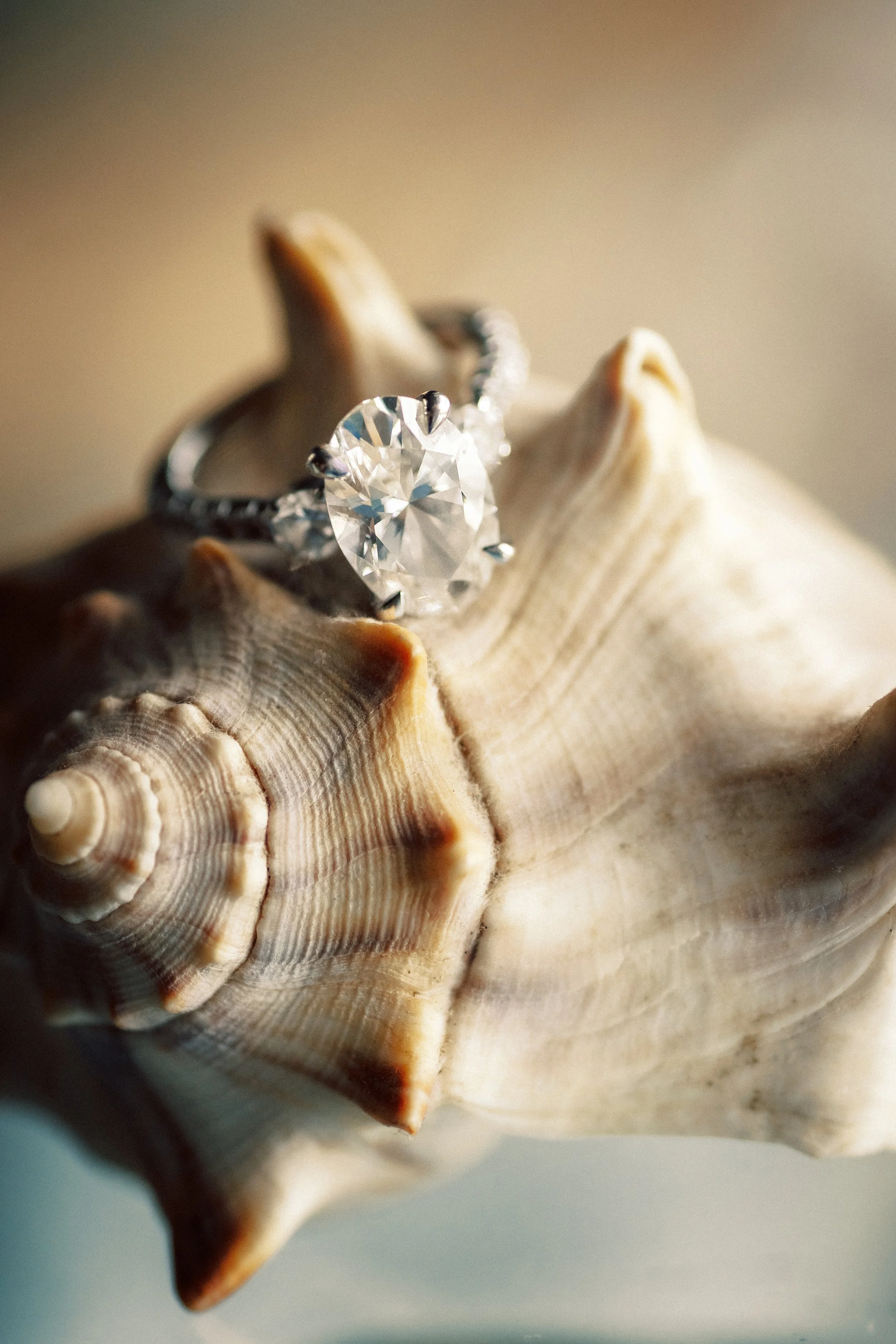 Close-up of a large, round, sparkling diamond engagement ring resting on a spiral-shaped seashell.