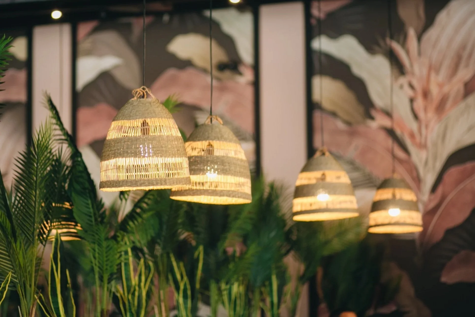 Four woven pendant lights hanging above green plants in a decoratively painted room.