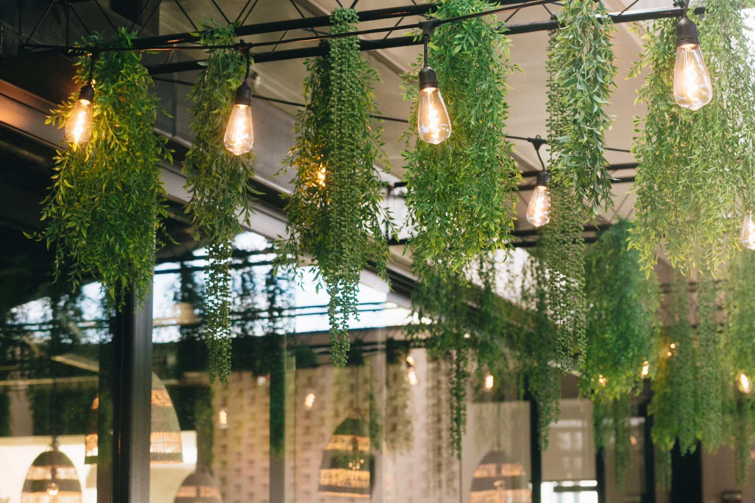 Indoor space with hanging green plants and Edison-style hanging light bulbs.