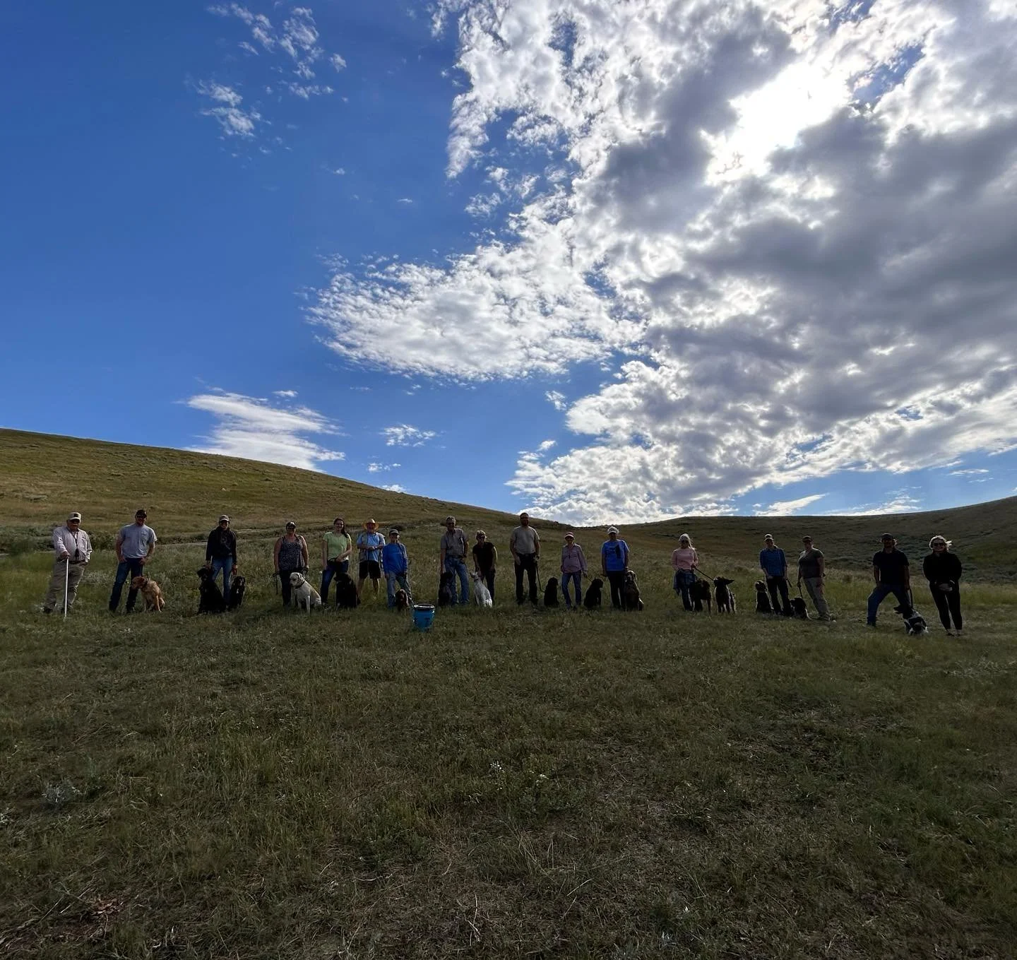 rattlesnake group.jpeg