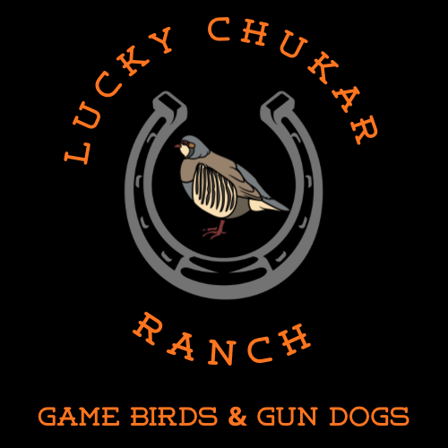 Lucky Chukar Ranch