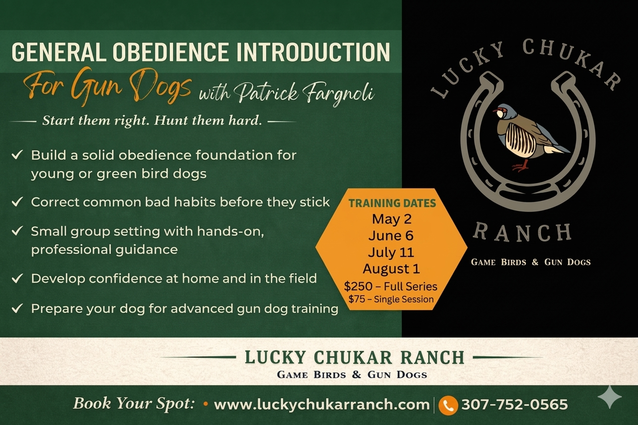 General Obedience Training Session (One Session Only)