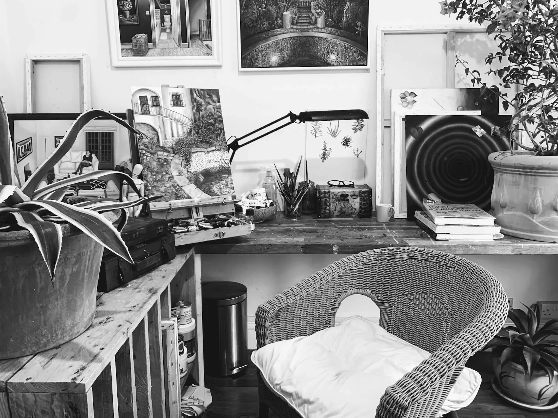 Website Introduction - Daniel Snyders