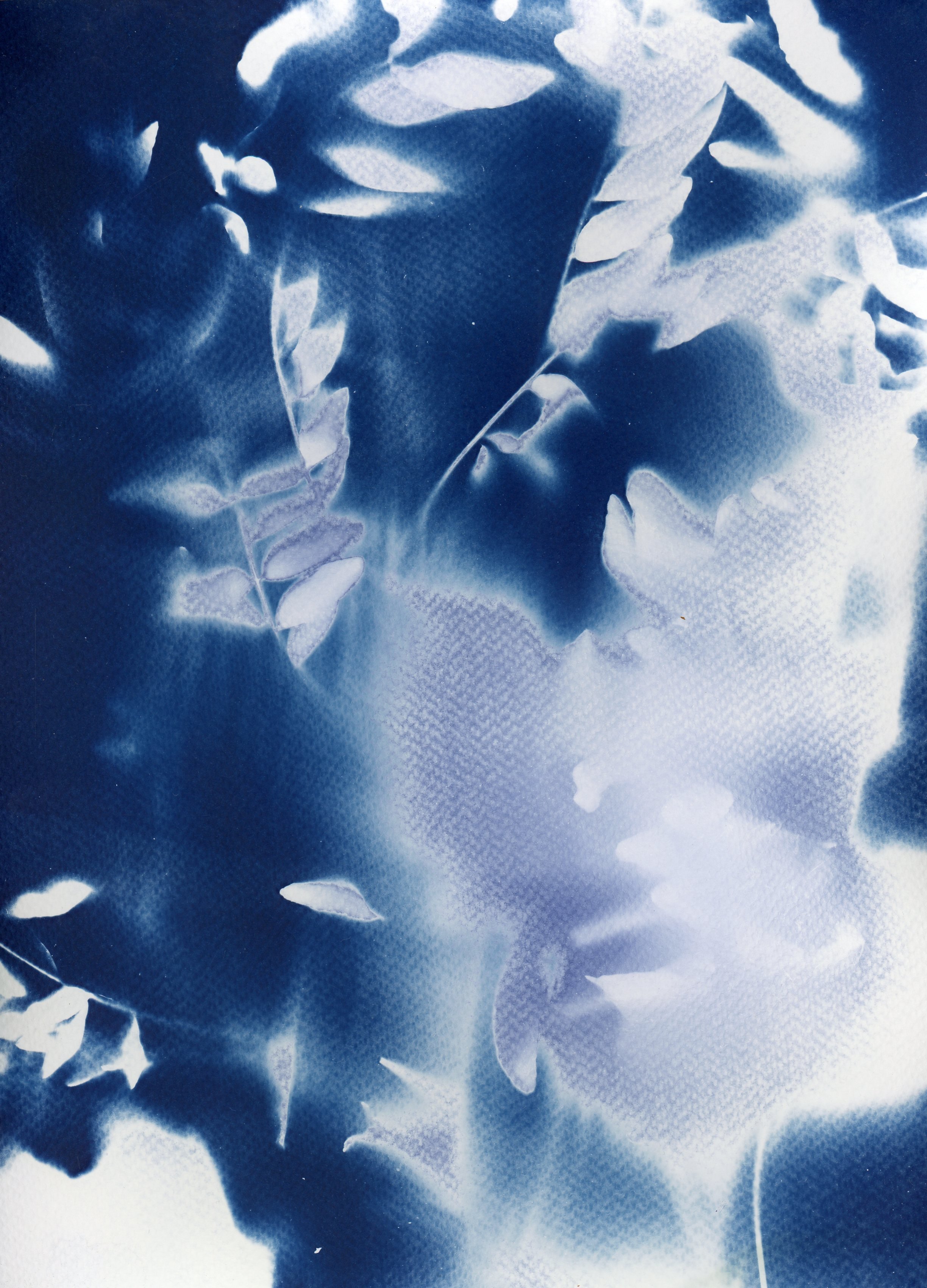 A pile of fallen leaves