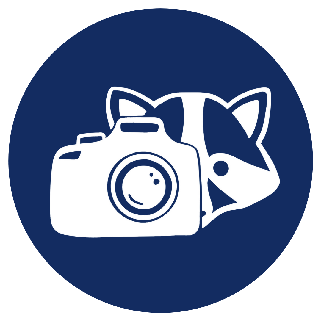 Celluloid Chronicles