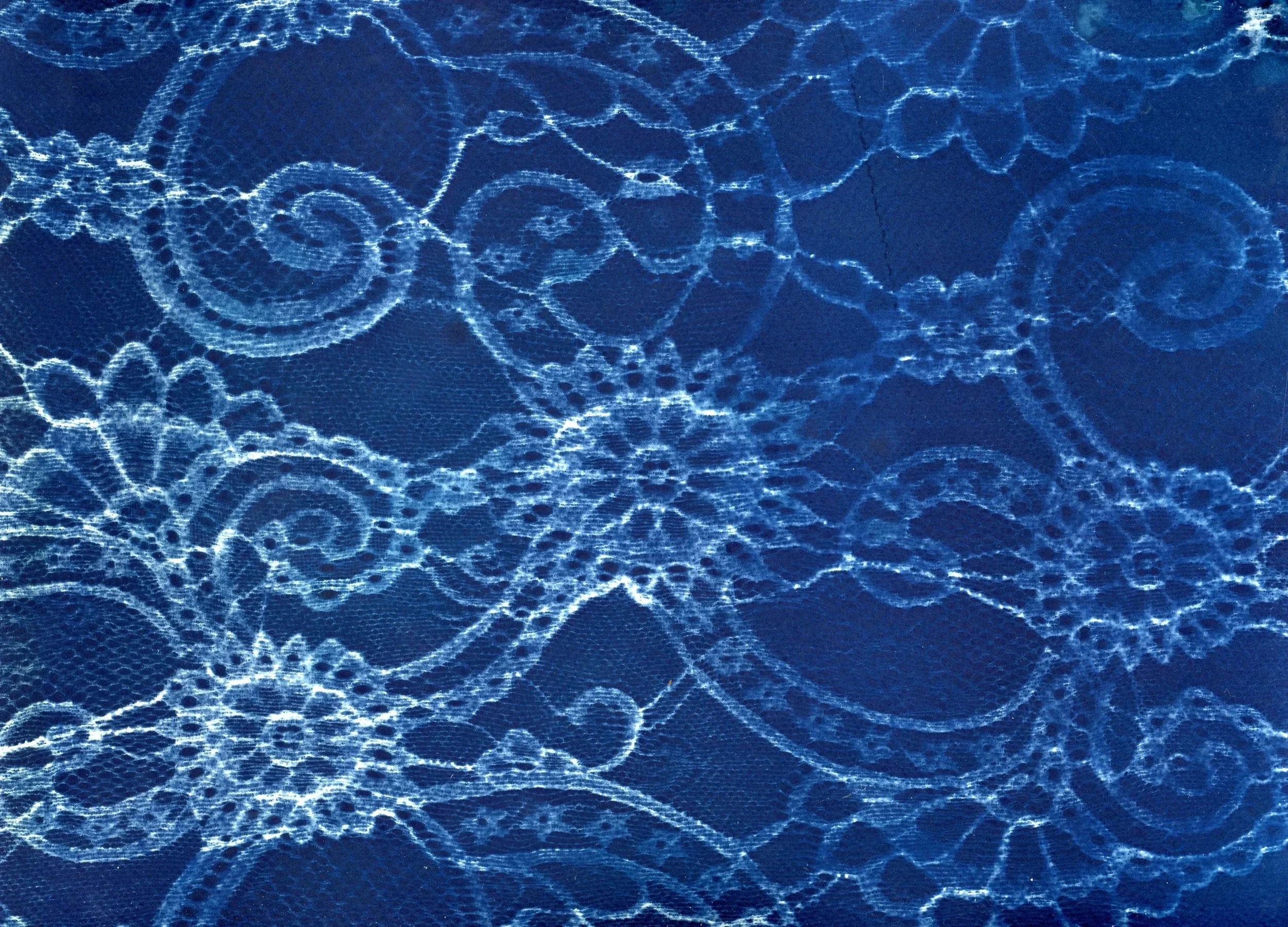 Cyanotype Prints