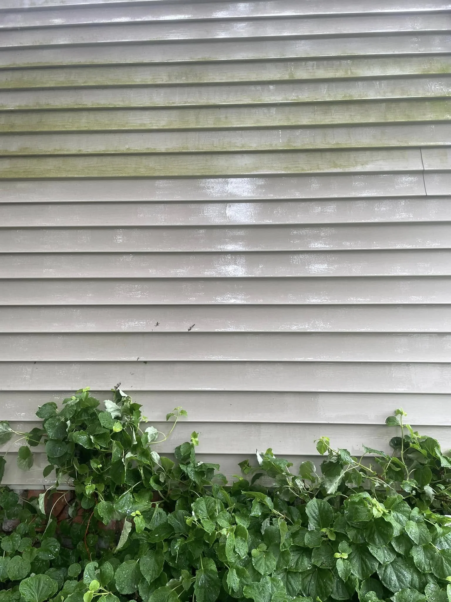 white vinyl siding pressure washing