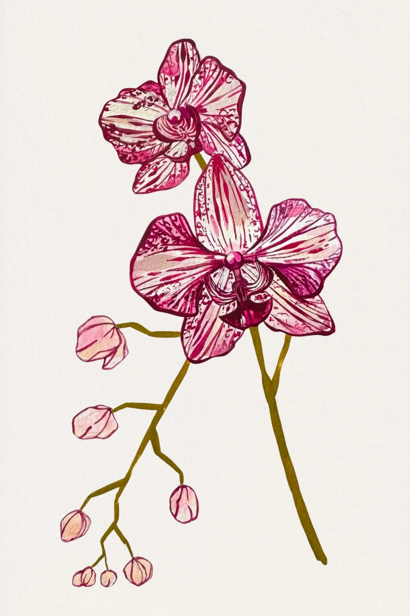 orchid print - 8x12.jpg