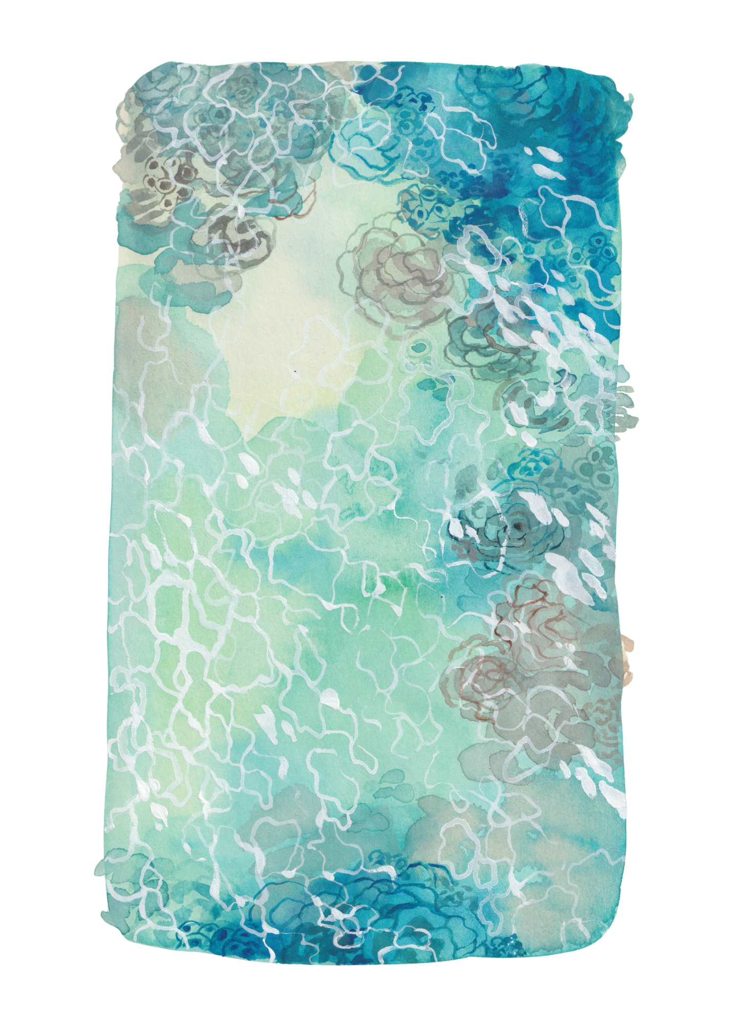 5x7 print .png