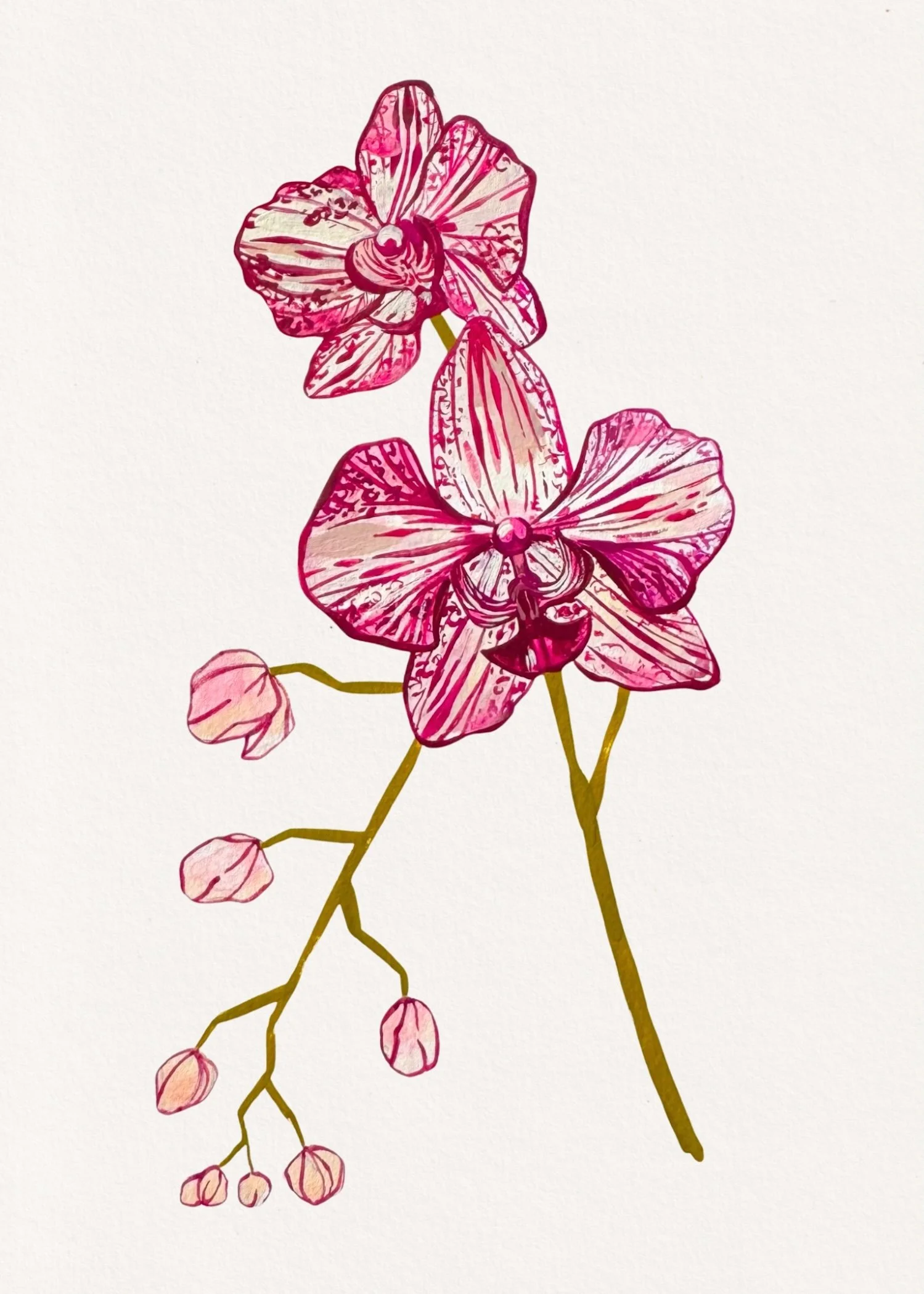Orchid print 8x12.jpg