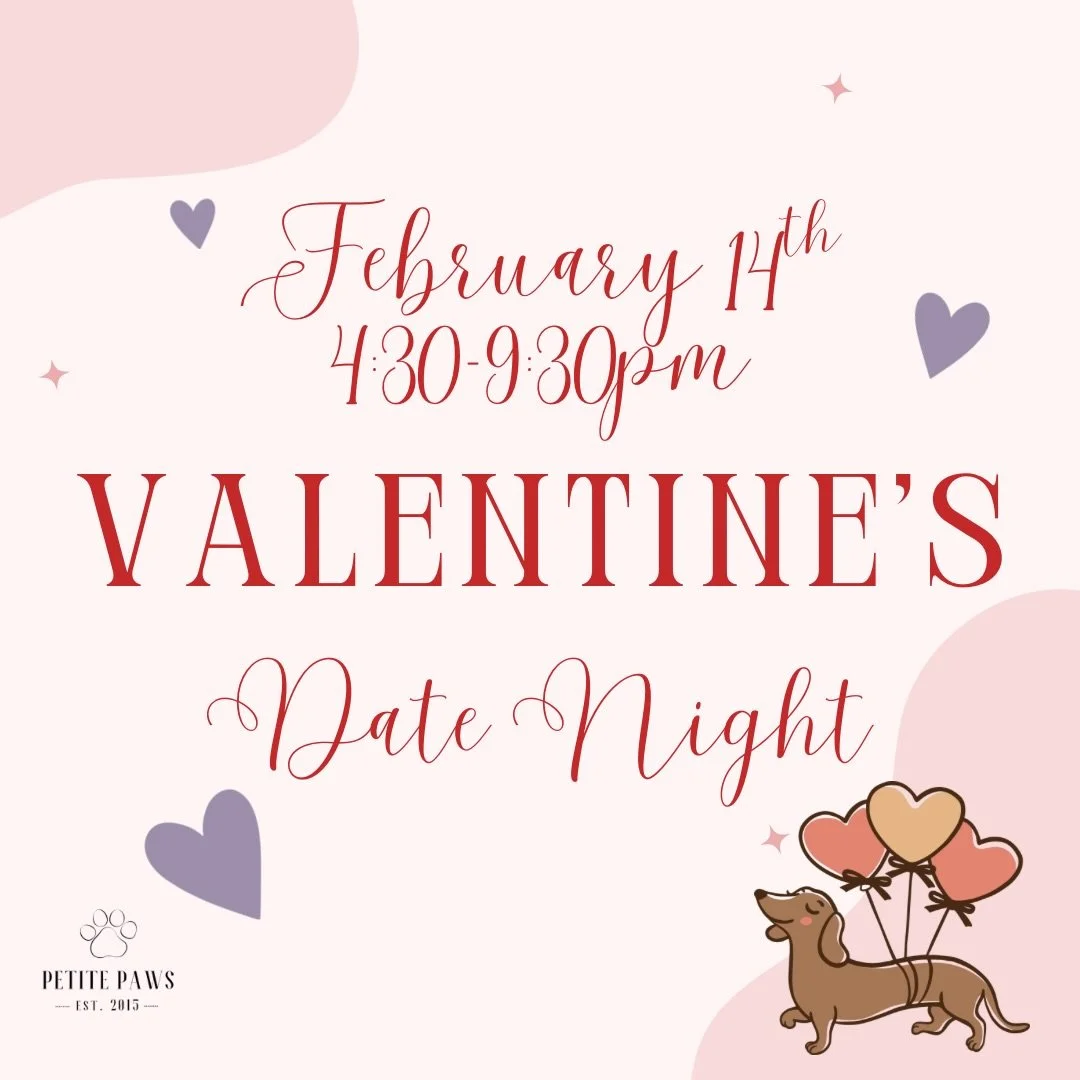 💘Valentine&rsquo;s Date Night FEBRUARY 14th, 4:30pm to 9:30pm!!💝

Headed out for a romantic dinner, but don&rsquo;t want to leave your pup home alone? Have them pop in for a few hours of supervised play at Petite Paws.

* Pop-up style event on sele