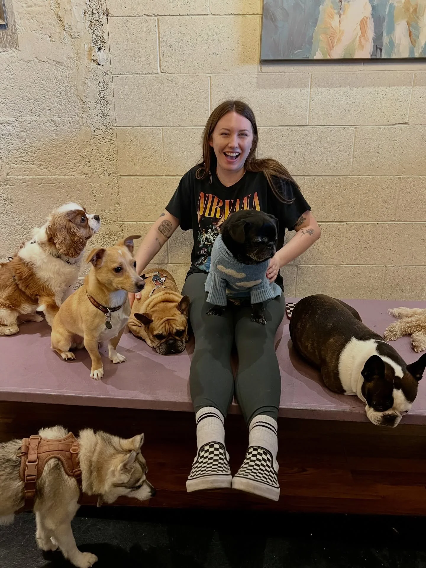 ✨MEET THE TEAM ✨

Nice to meet you all, I&rsquo;m Savanah! 🐾
I&rsquo;m passionate about dogs and animal welfare, with experience caring for dogs with special needs as well as a variety of other animals. 

I bring an understanding and attentive appro