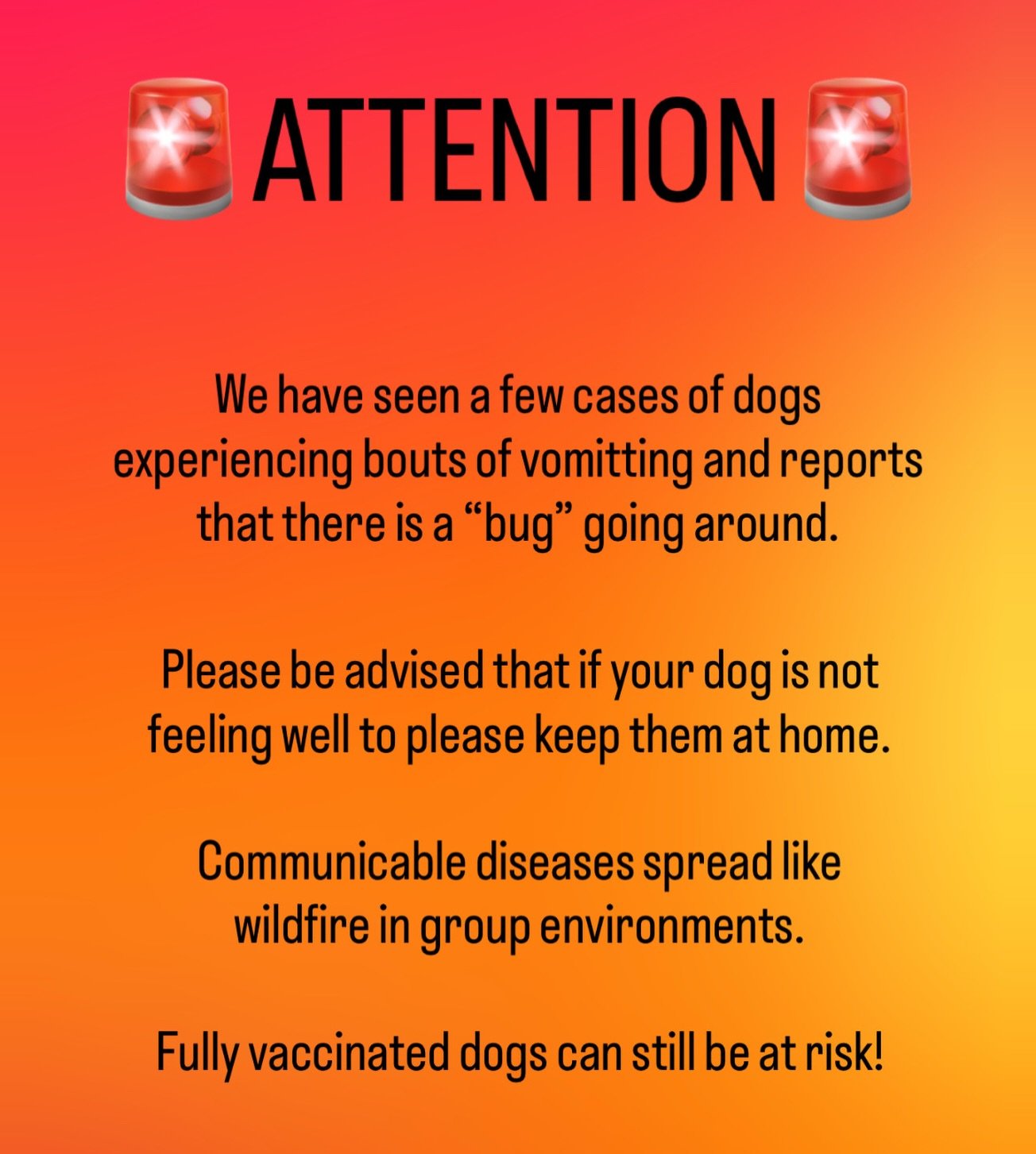 For the safety of all the other dogs in our care, please keep your dog at home if they are feeling unwell. 

As per our policy, updated vaccine records must be sent prior to arrival and dogs who are experiencing symptoms will be required to go home i